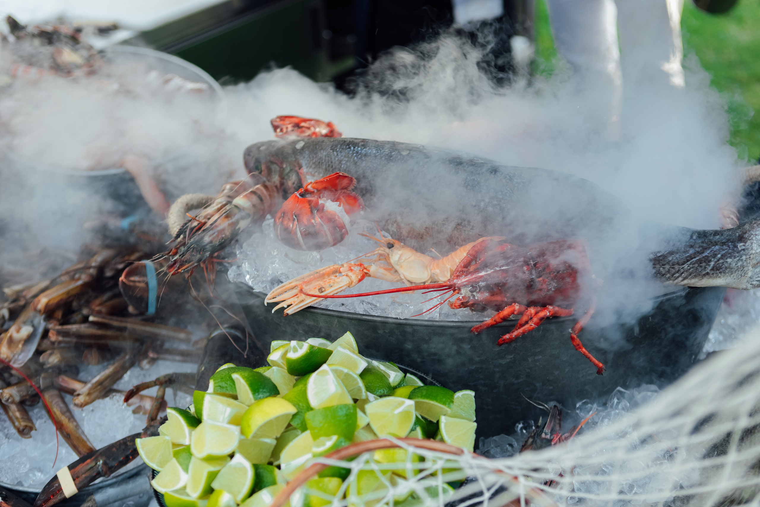 MoonActive. Fotograf Warszawa Brwinów Pruszków Grodzisk Piaseczno Otwock Legionowo