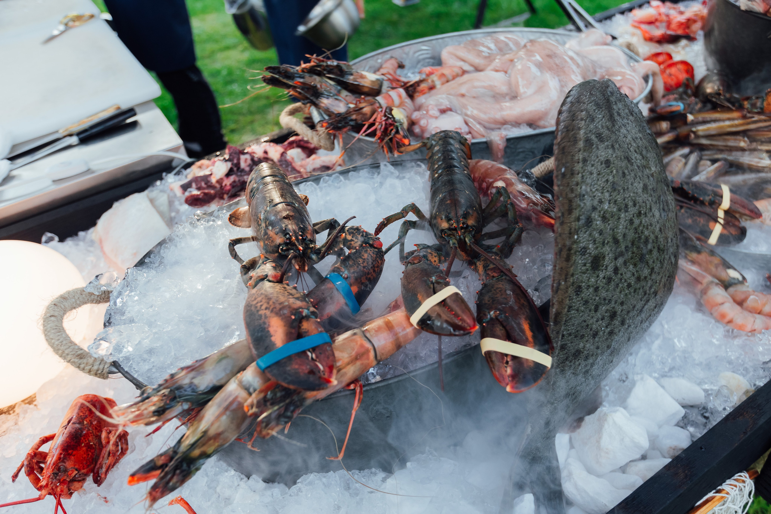 MoonActive. Fotograf Warszawa Brwinów Pruszków Grodzisk Piaseczno Otwock Legionowo