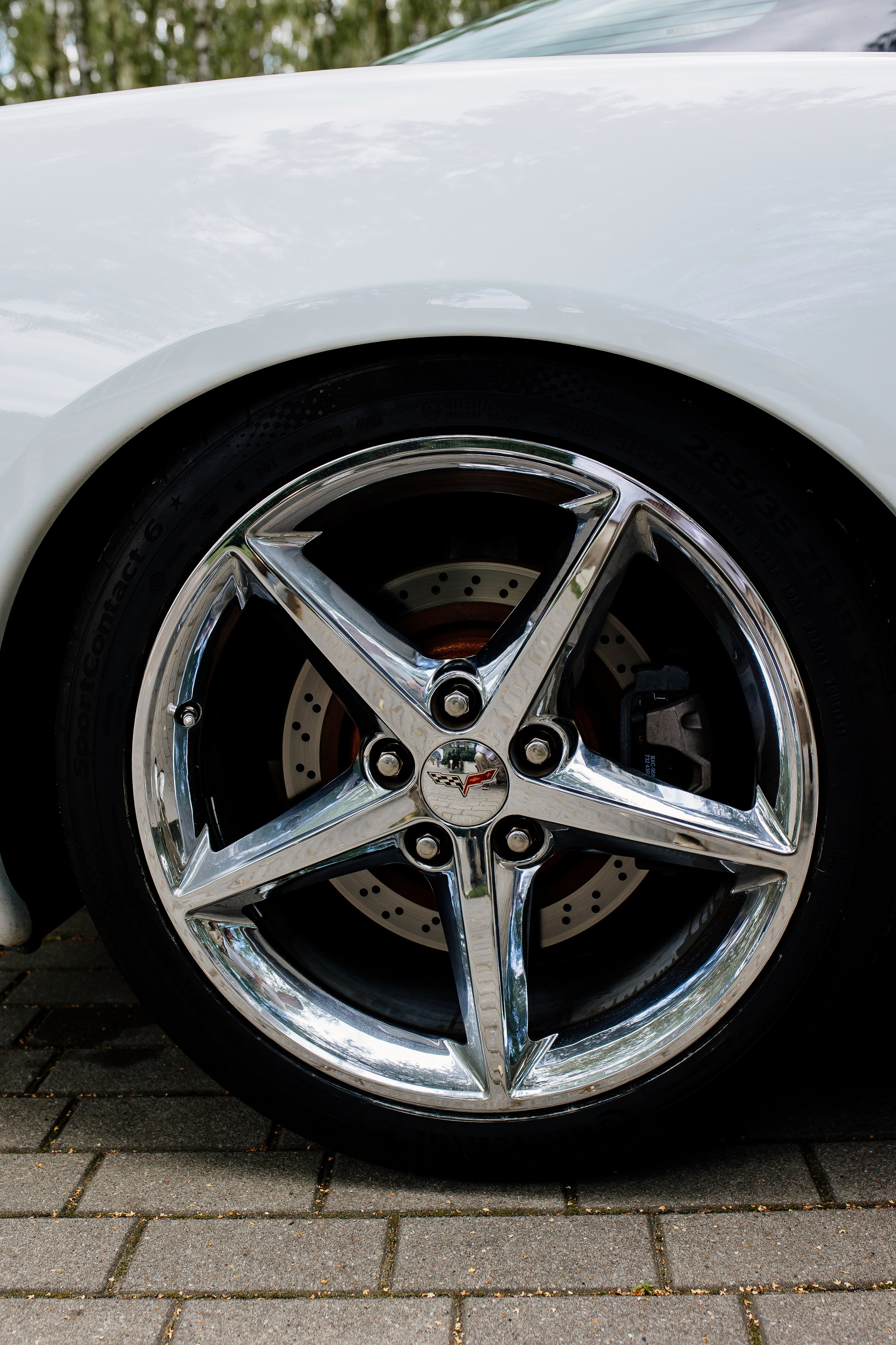 Маша і Міша. Fotograf Warszawa Brwinów Pruszków Grodzisk Piaseczno Otwock Legionowo