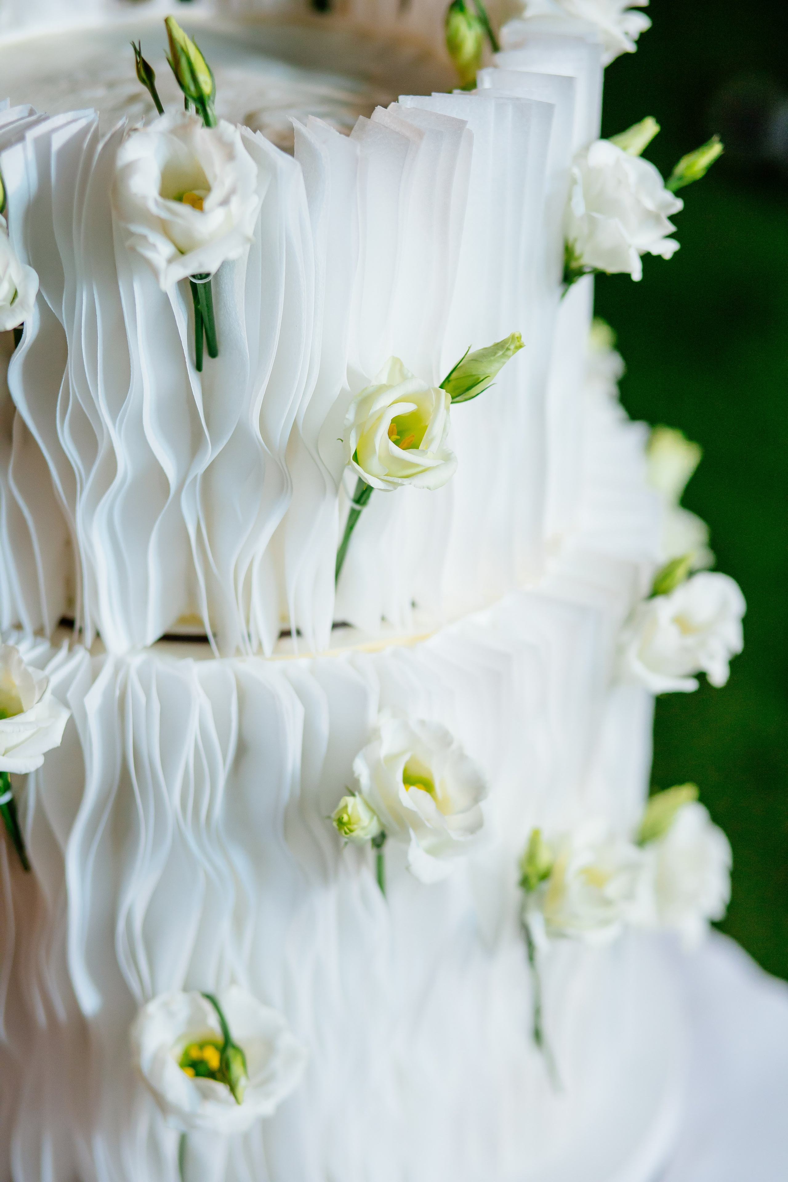 Христина та Максим. Photographer Stas Bordeniuk