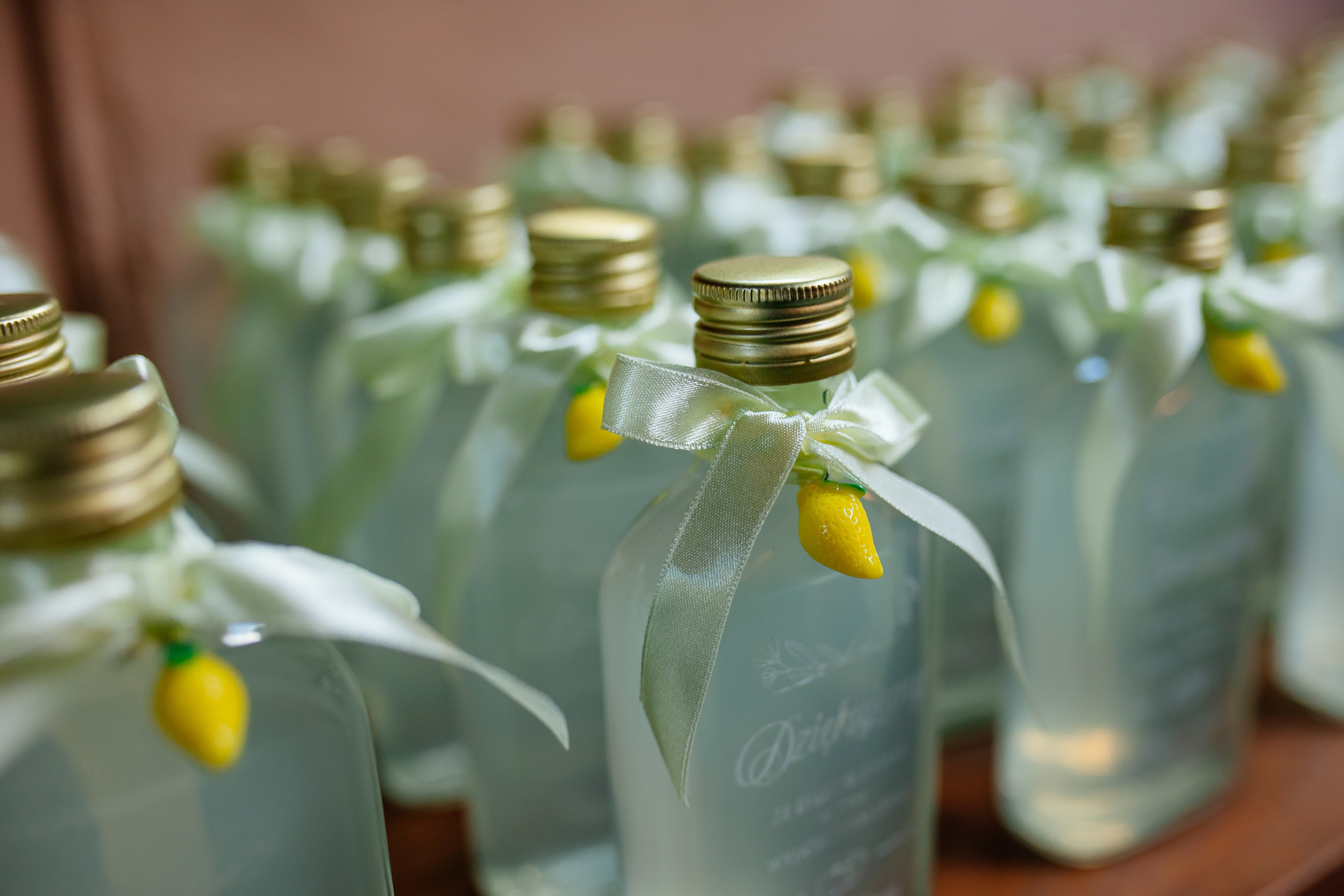 Alina & Jacek. Photographer Stas Bordeniuk