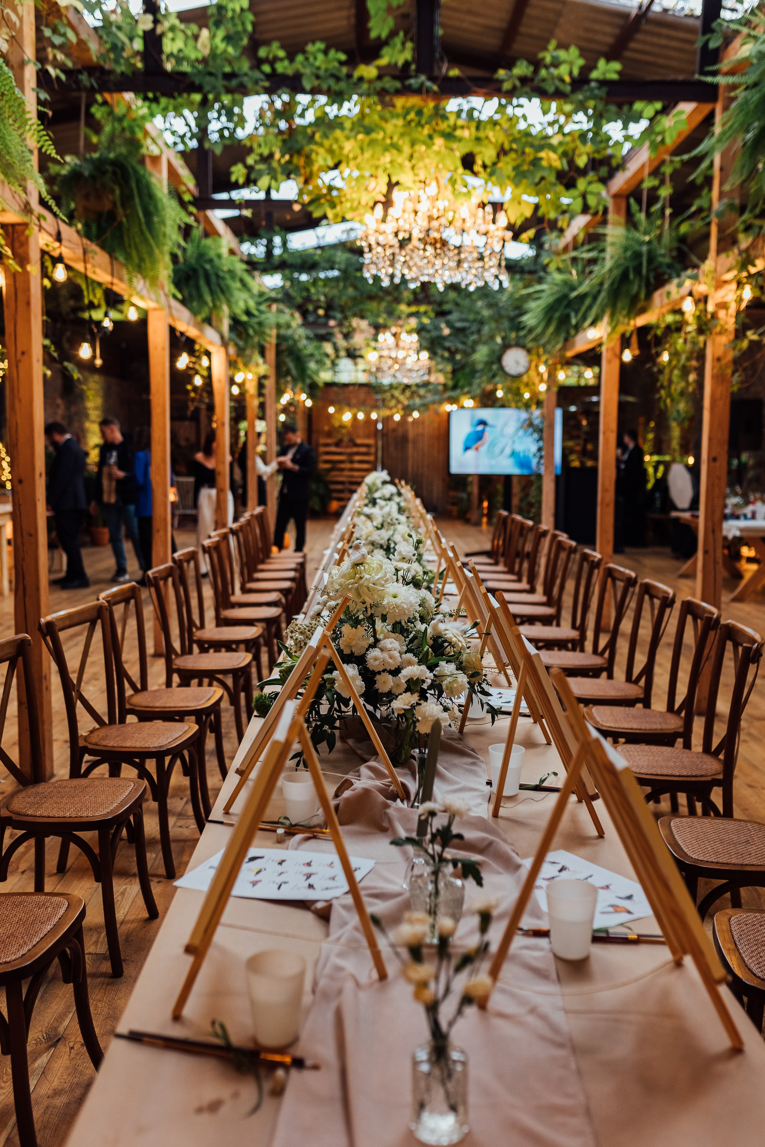 Bird. Fotograf Warszawa Brwinów Pruszków Grodzisk Piaseczno Otwock Legionowo