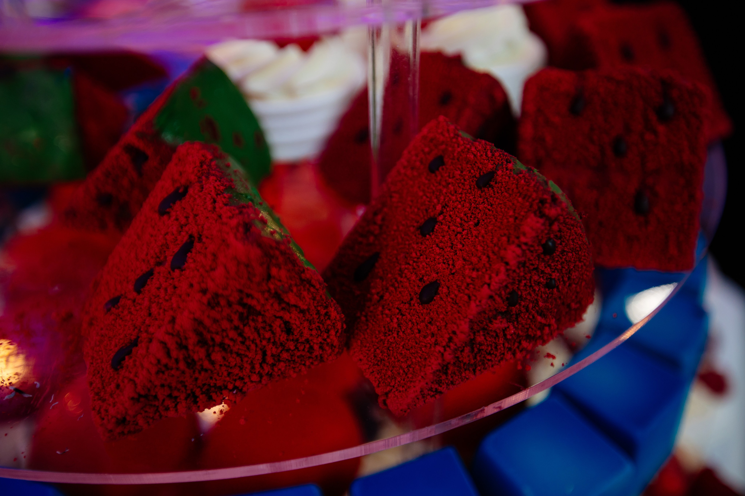 WellTech. Fotograf Warszawa Brwinów Pruszków Grodzisk Piaseczno Otwock Legionowo