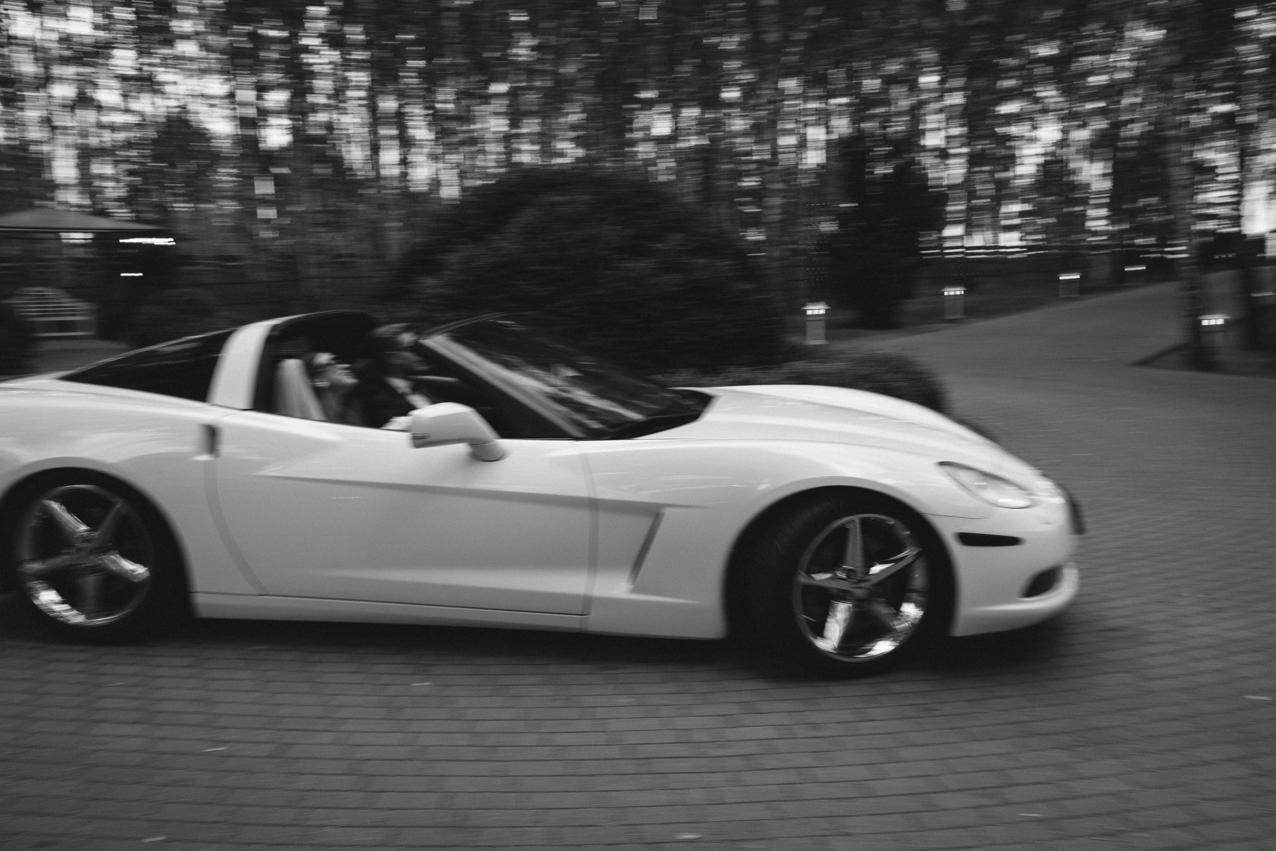 Маша і Міша. Fotograf Warszawa Brwinów Pruszków Grodzisk Piaseczno Otwock Legionowo