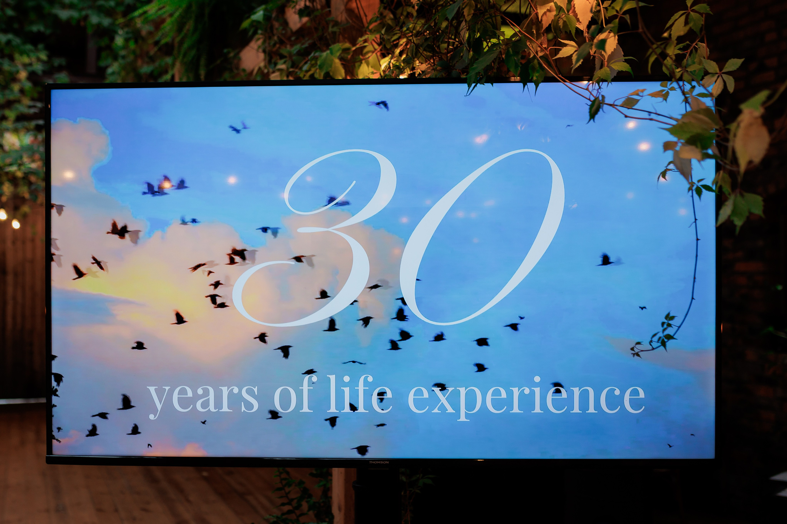 Bird. Fotograf Warszawa Brwinów Pruszków Grodzisk Piaseczno Otwock Legionowo