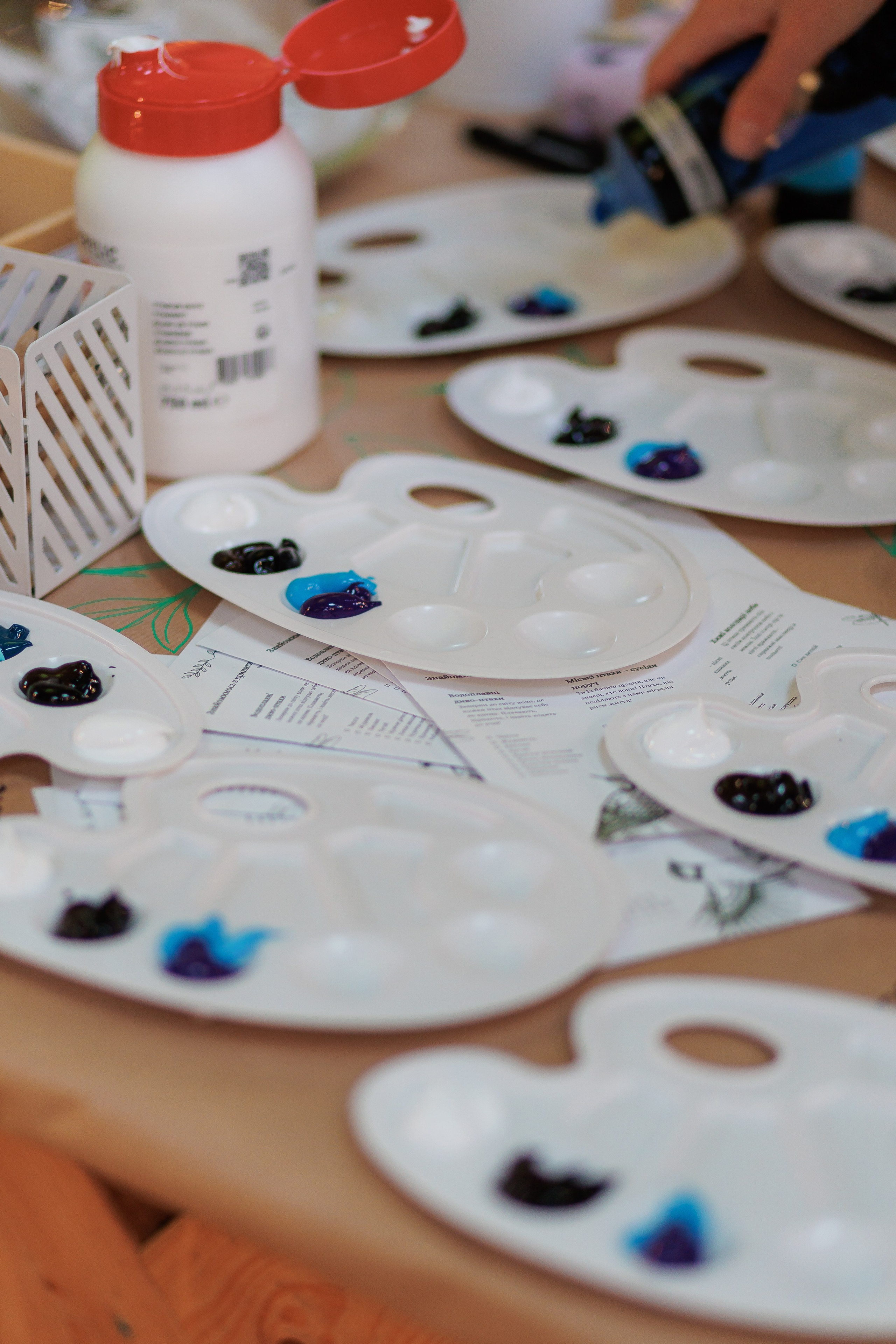 Bird. Fotograf Warszawa Brwinów Pruszków Grodzisk Piaseczno Otwock Legionowo