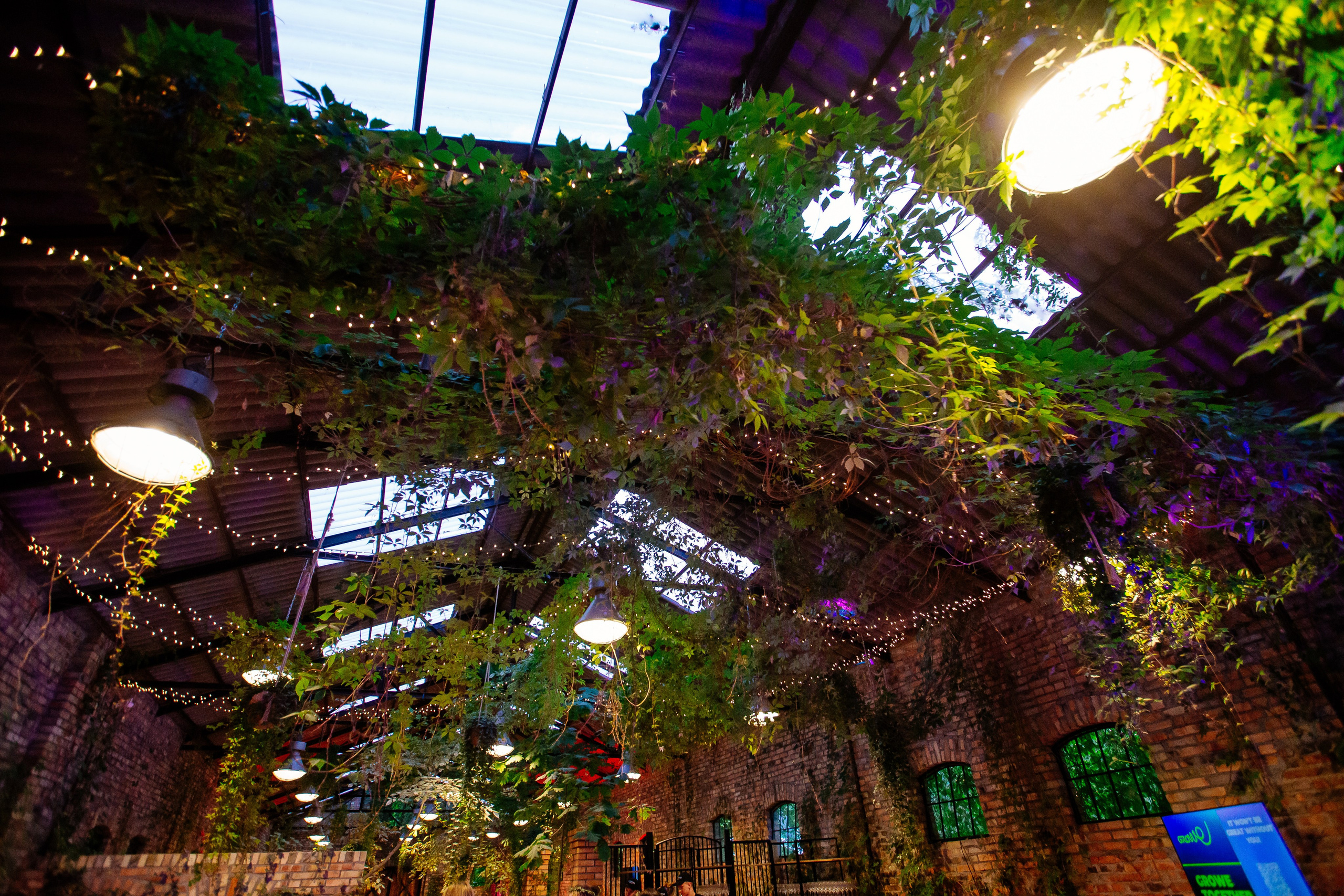 Growe. Fotograf Warszawa Brwinów Pruszków Grodzisk Piaseczno Otwock Legionowo