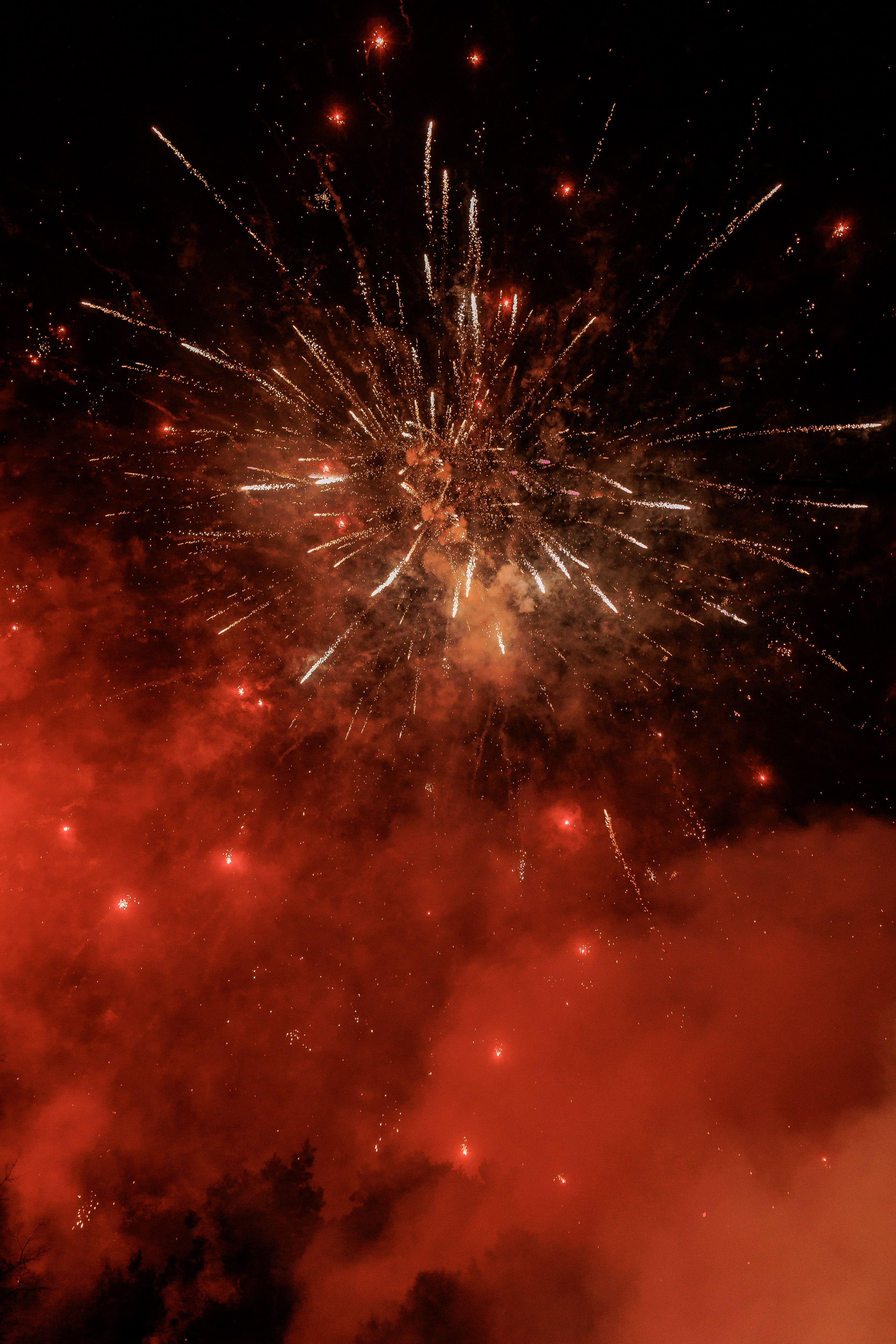 NY2024. Fotograf Warszawa Brwinów Pruszków Grodzisk Piaseczno Otwock Legionowo