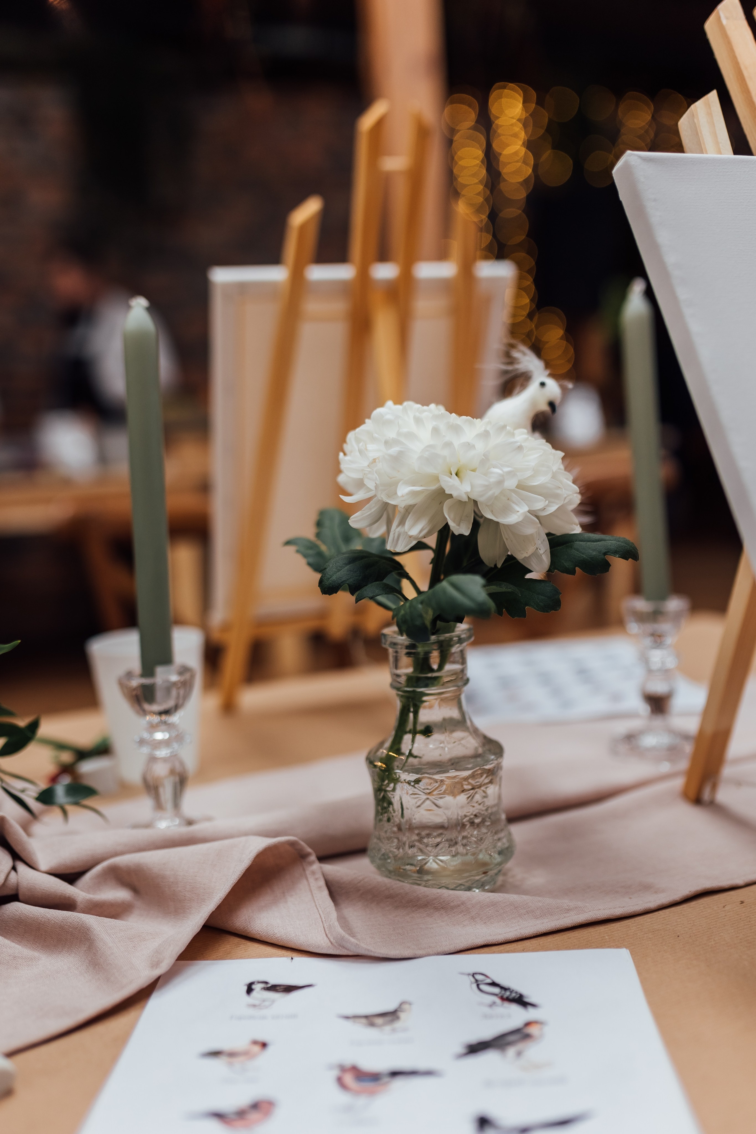 Bird. Fotograf Warszawa Brwinów Pruszków Grodzisk Piaseczno Otwock Legionowo