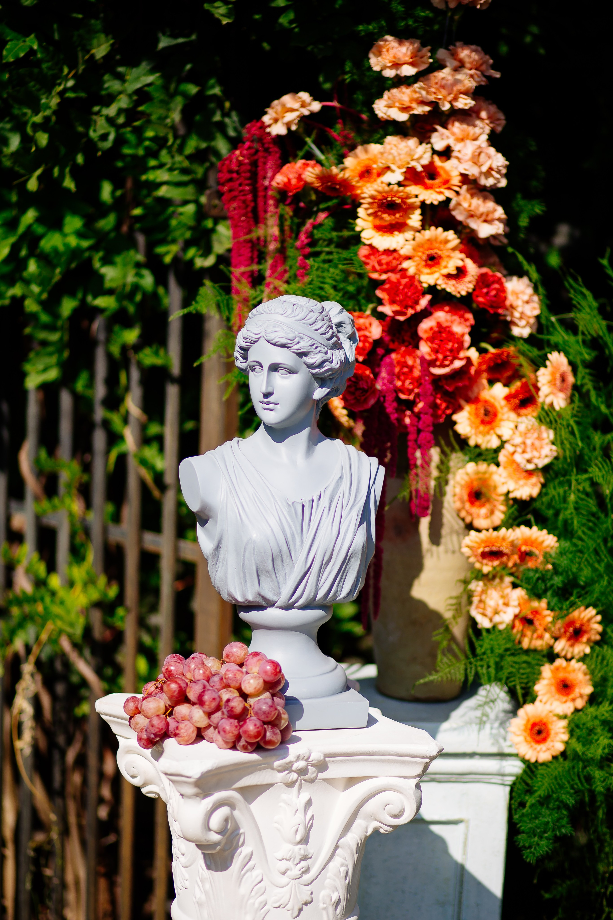 Growe. Fotograf Warszawa Brwinów Pruszków Grodzisk Piaseczno Otwock Legionowo