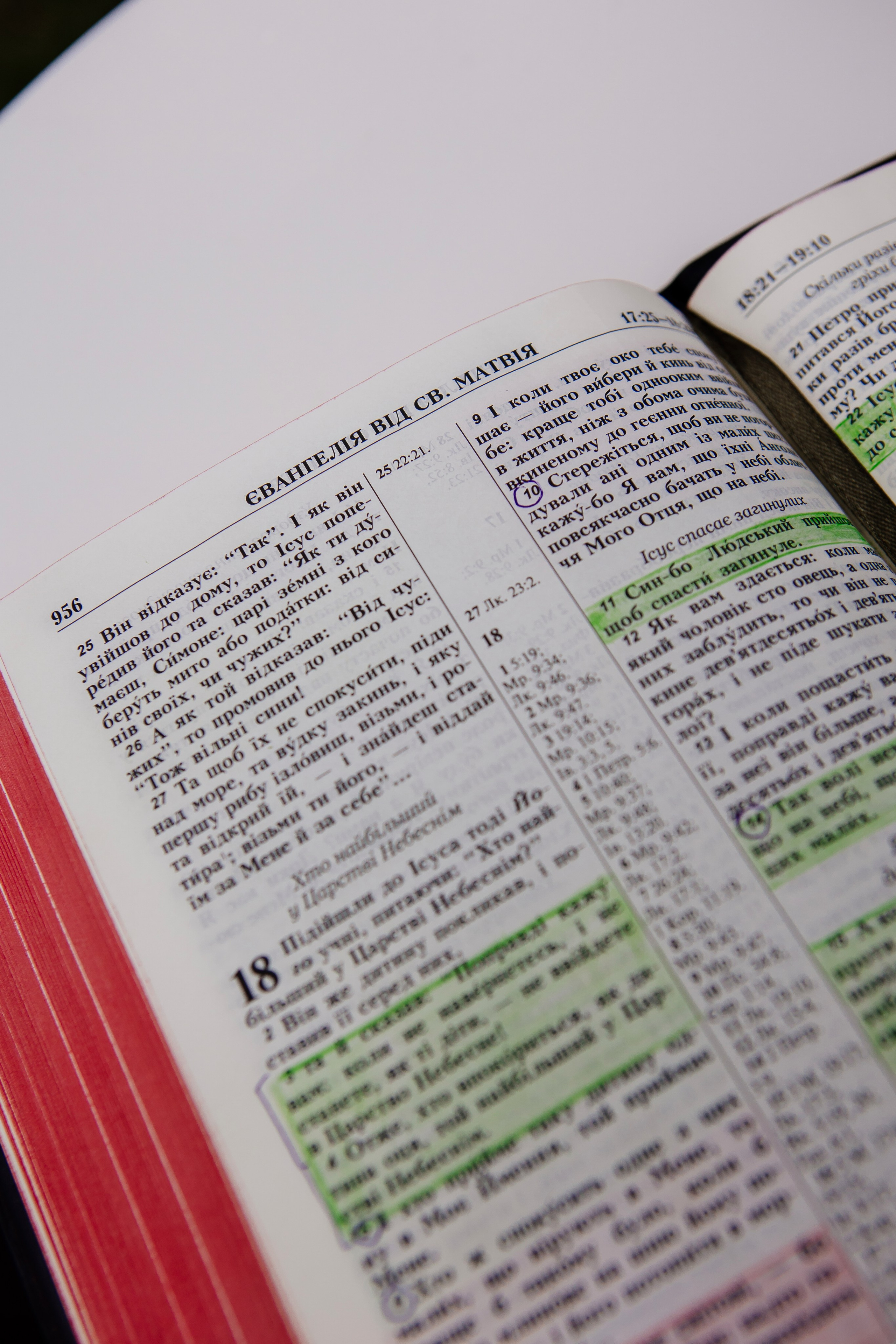 Маша і Міша. Fotograf Warszawa Brwinów Pruszków Grodzisk Piaseczno Otwock Legionowo