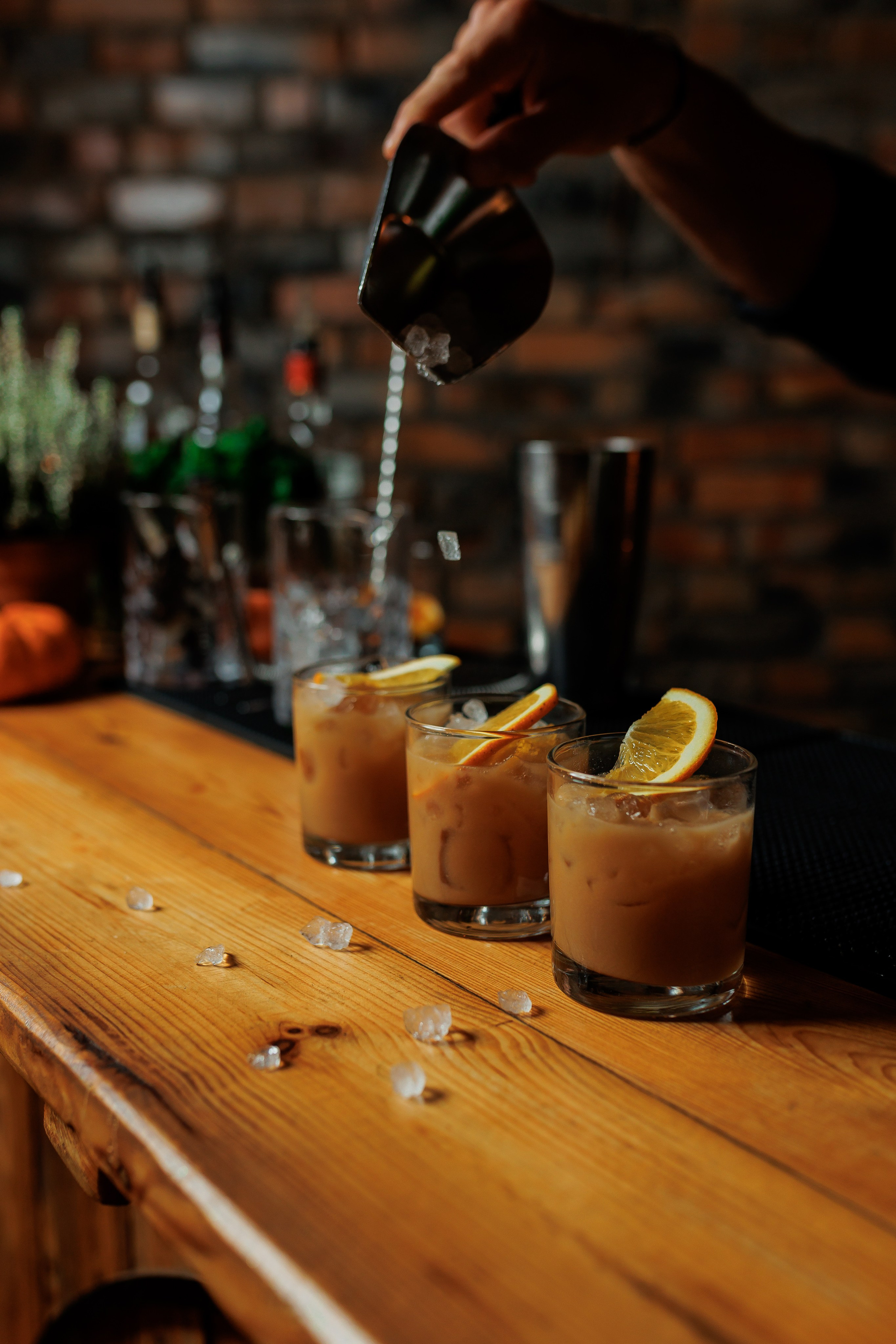 Bird. Fotograf Warszawa Brwinów Pruszków Grodzisk Piaseczno Otwock Legionowo