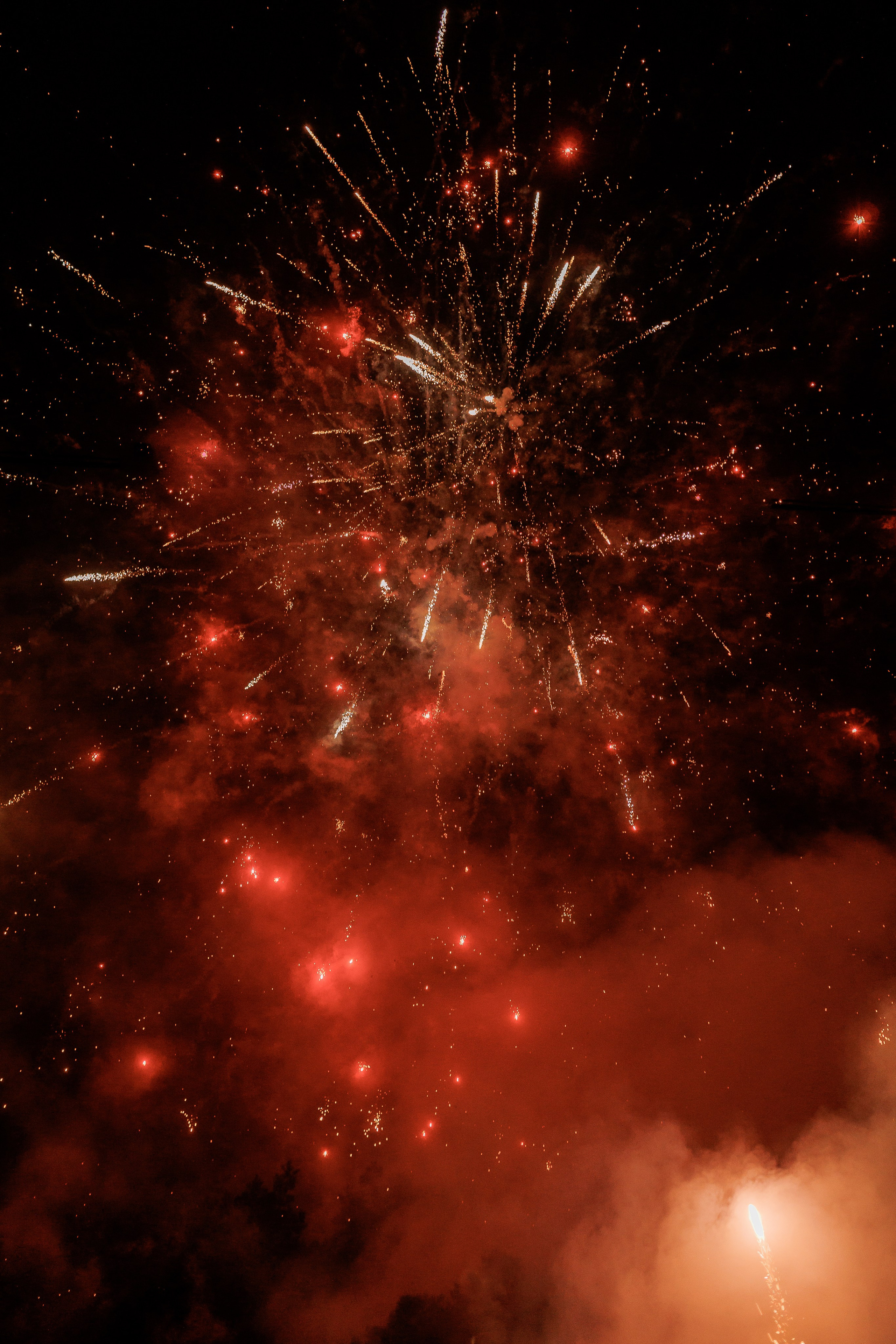 NY2024. Fotograf Warszawa Brwinów Pruszków Grodzisk Piaseczno Otwock Legionowo