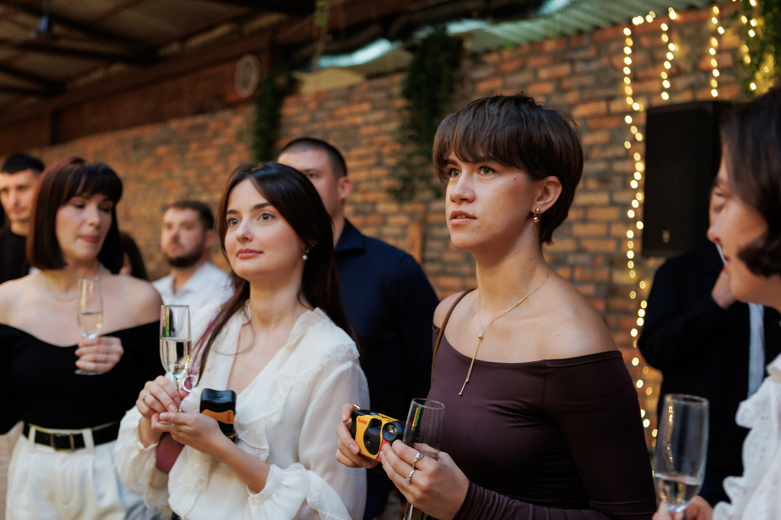 Bird. Fotograf Warszawa Brwinów Pruszków Grodzisk Piaseczno Otwock Legionowo