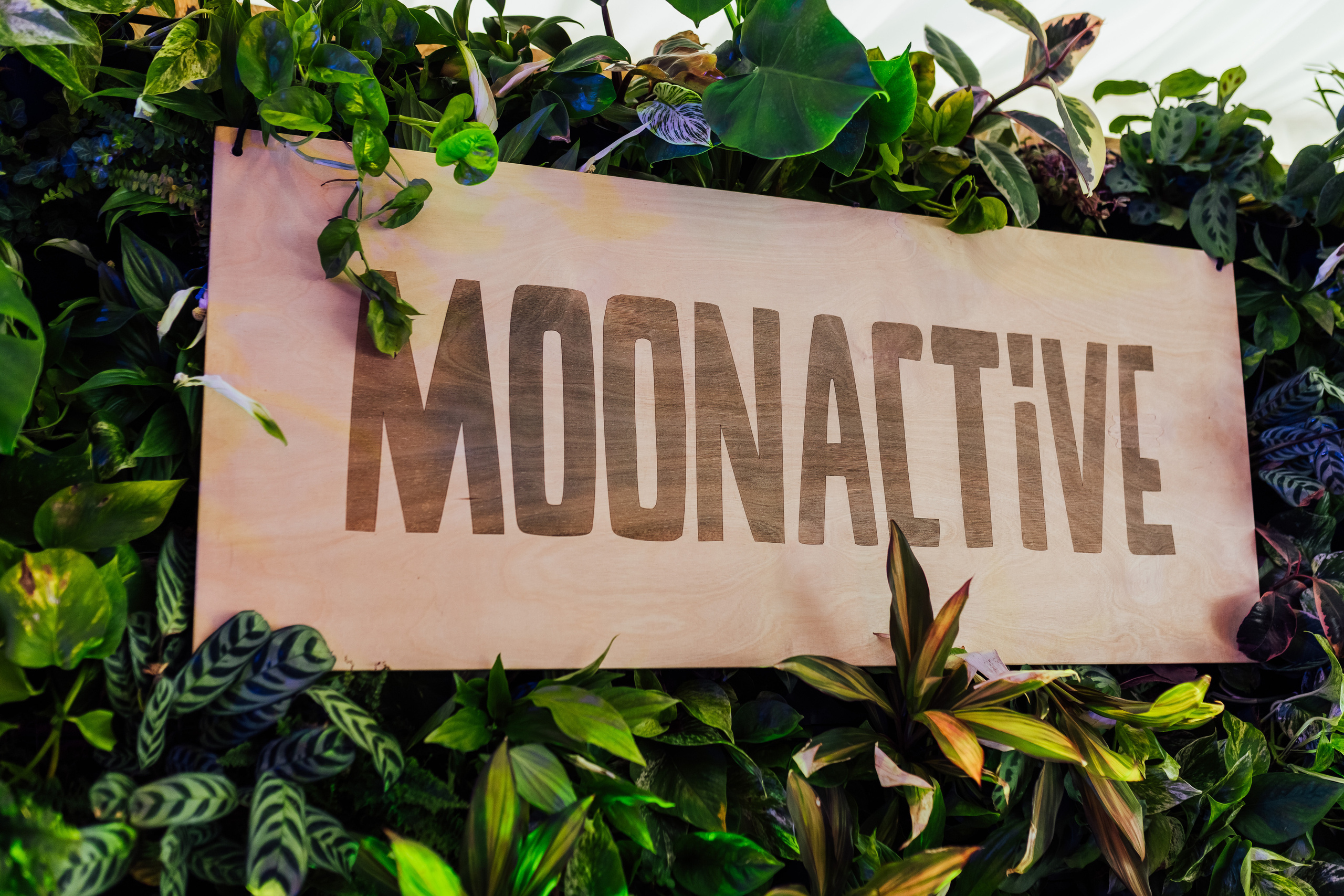 Конференції. Fotograf Warszawa Brwinów Pruszków Grodzisk Piaseczno Otwock Legionowo