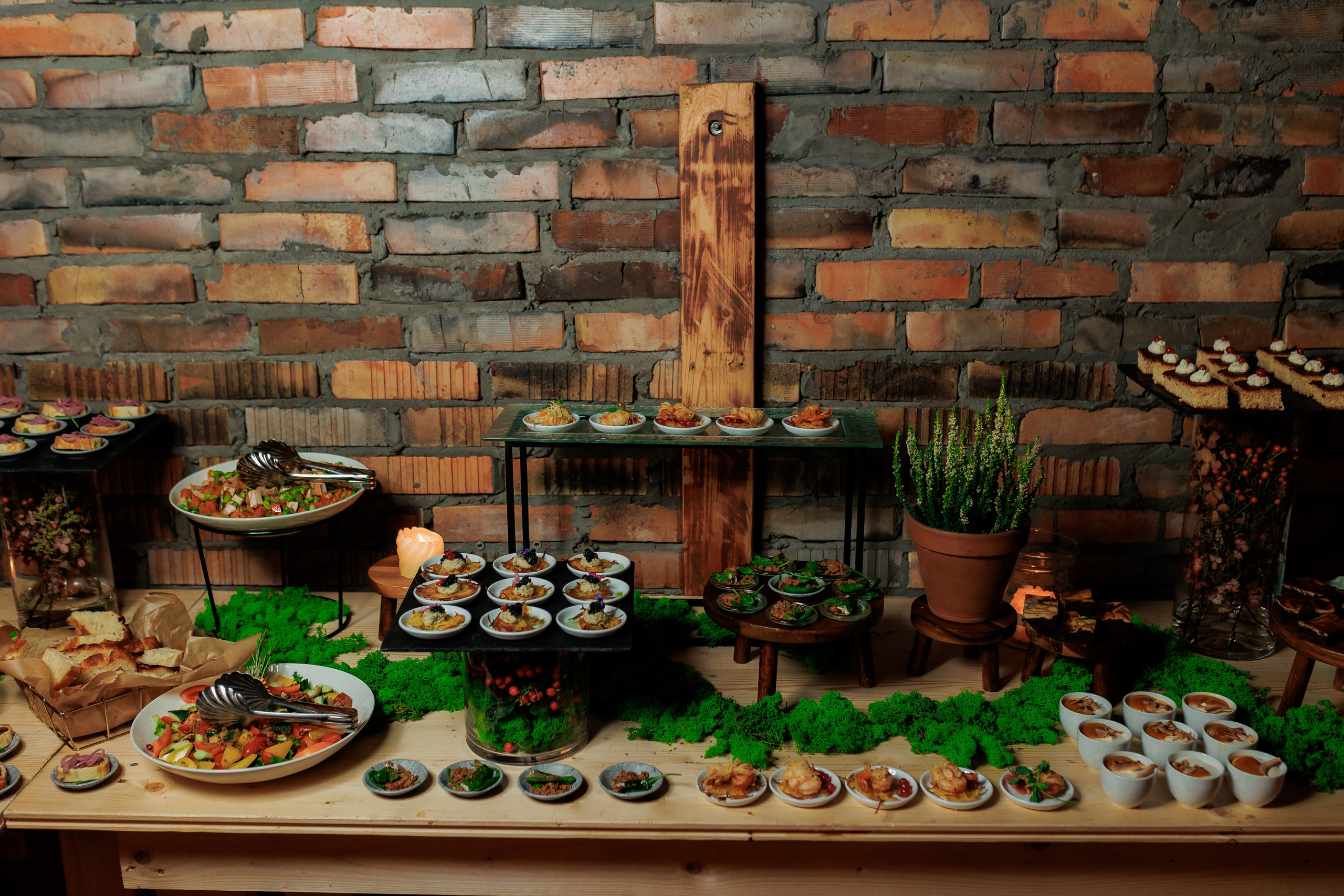 Bird. Fotograf Warszawa Brwinów Pruszków Grodzisk Piaseczno Otwock Legionowo