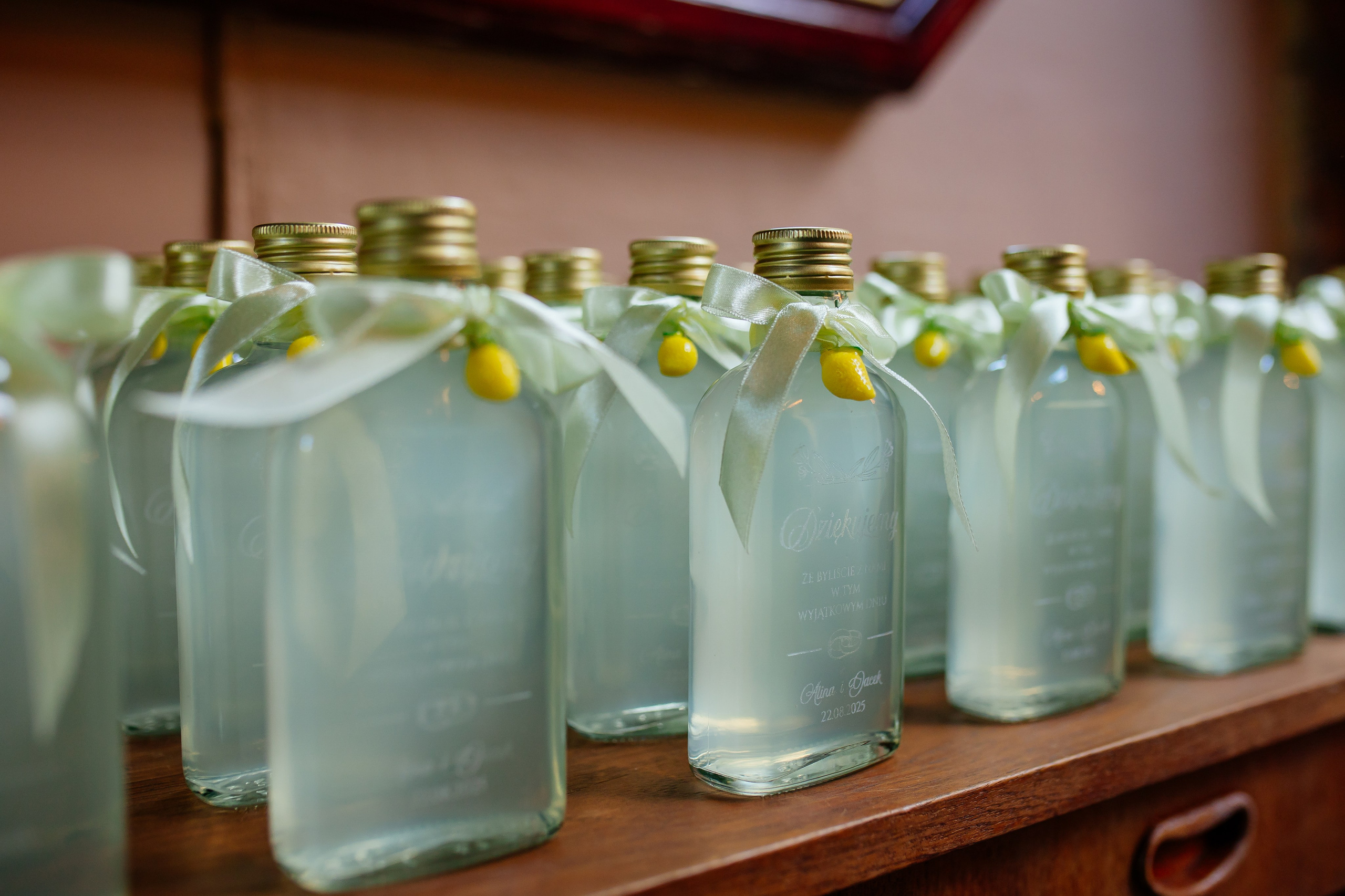 Alina & Jacek. Photographer Stas Bordeniuk