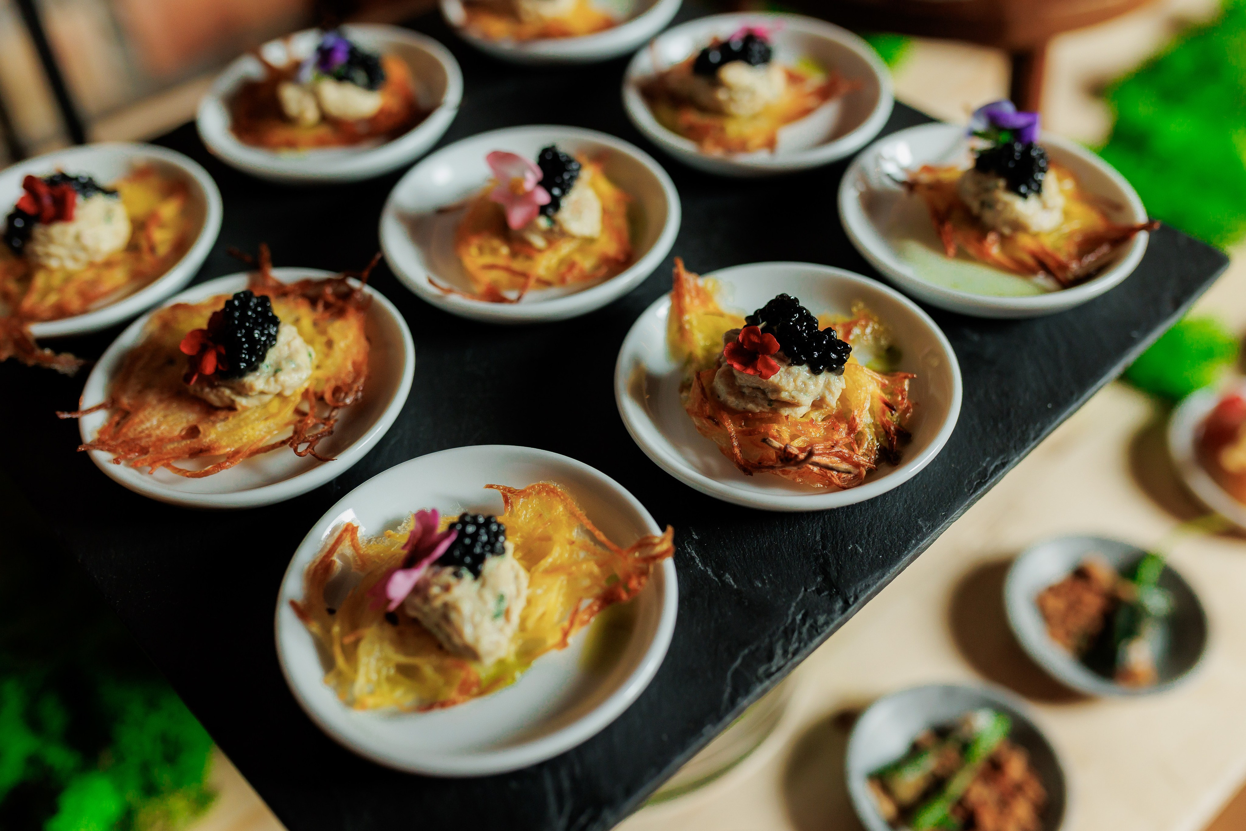 Bird. Fotograf Warszawa Brwinów Pruszków Grodzisk Piaseczno Otwock Legionowo