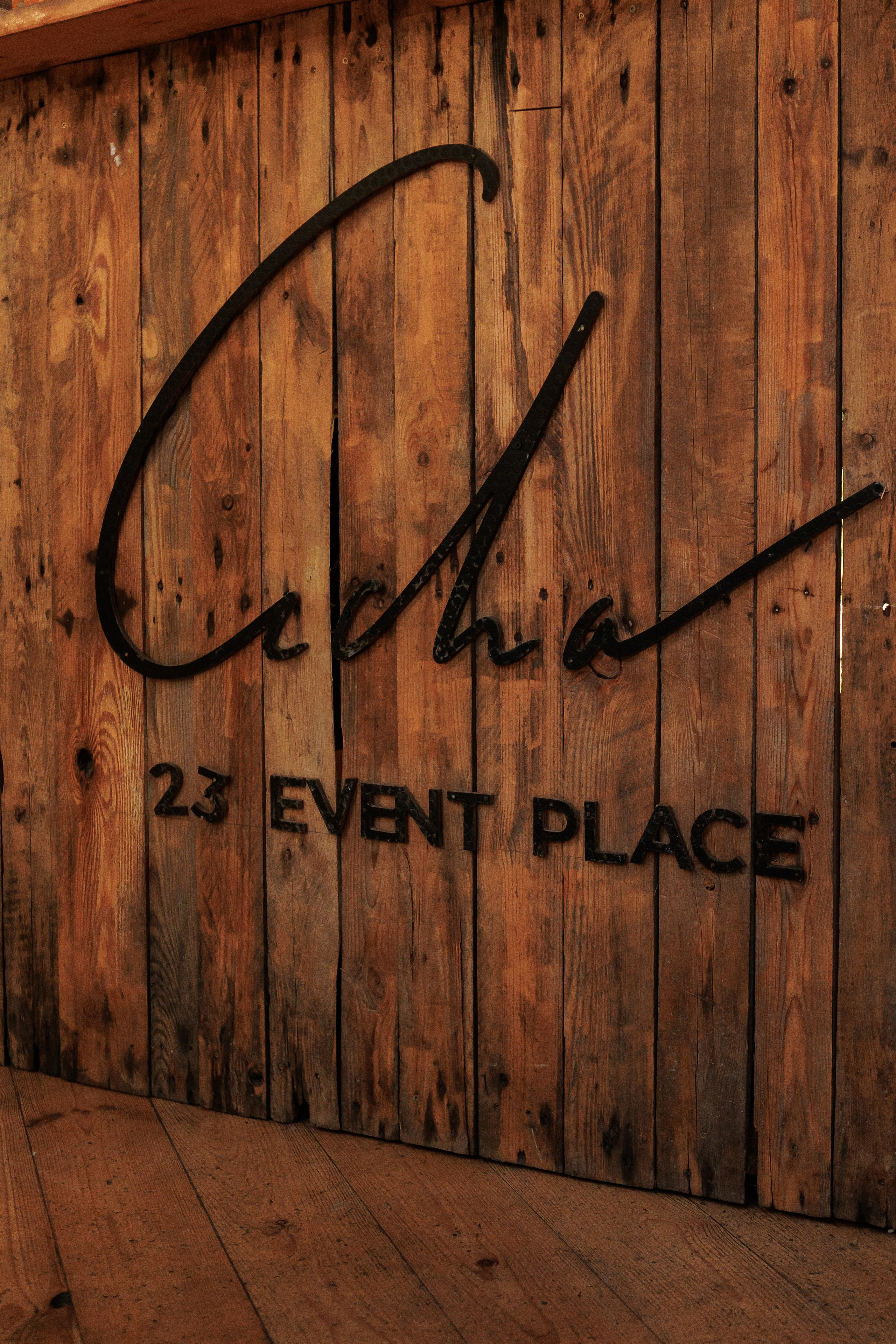 Bird. Fotograf Warszawa Brwinów Pruszków Grodzisk Piaseczno Otwock Legionowo