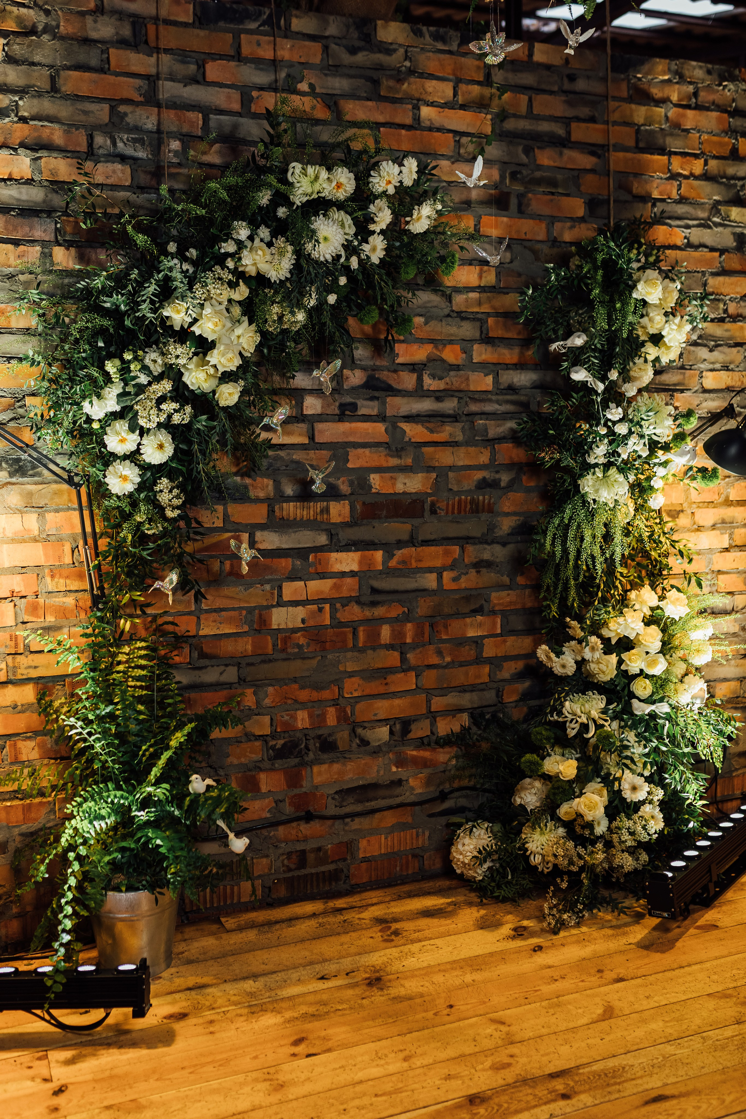 Bird. Fotograf Warszawa Brwinów Pruszków Grodzisk Piaseczno Otwock Legionowo