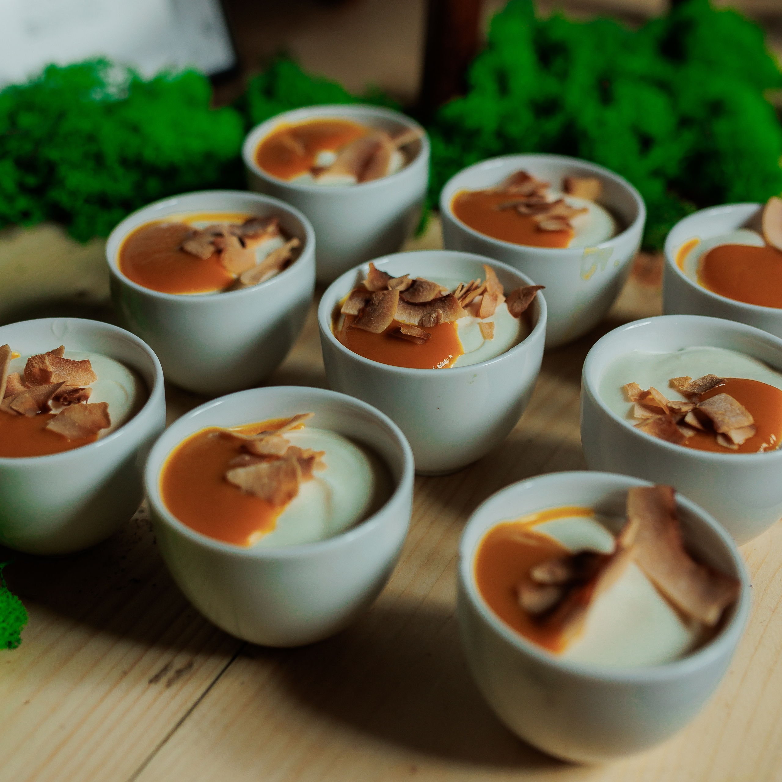 Bird. Fotograf Warszawa Brwinów Pruszków Grodzisk Piaseczno Otwock Legionowo