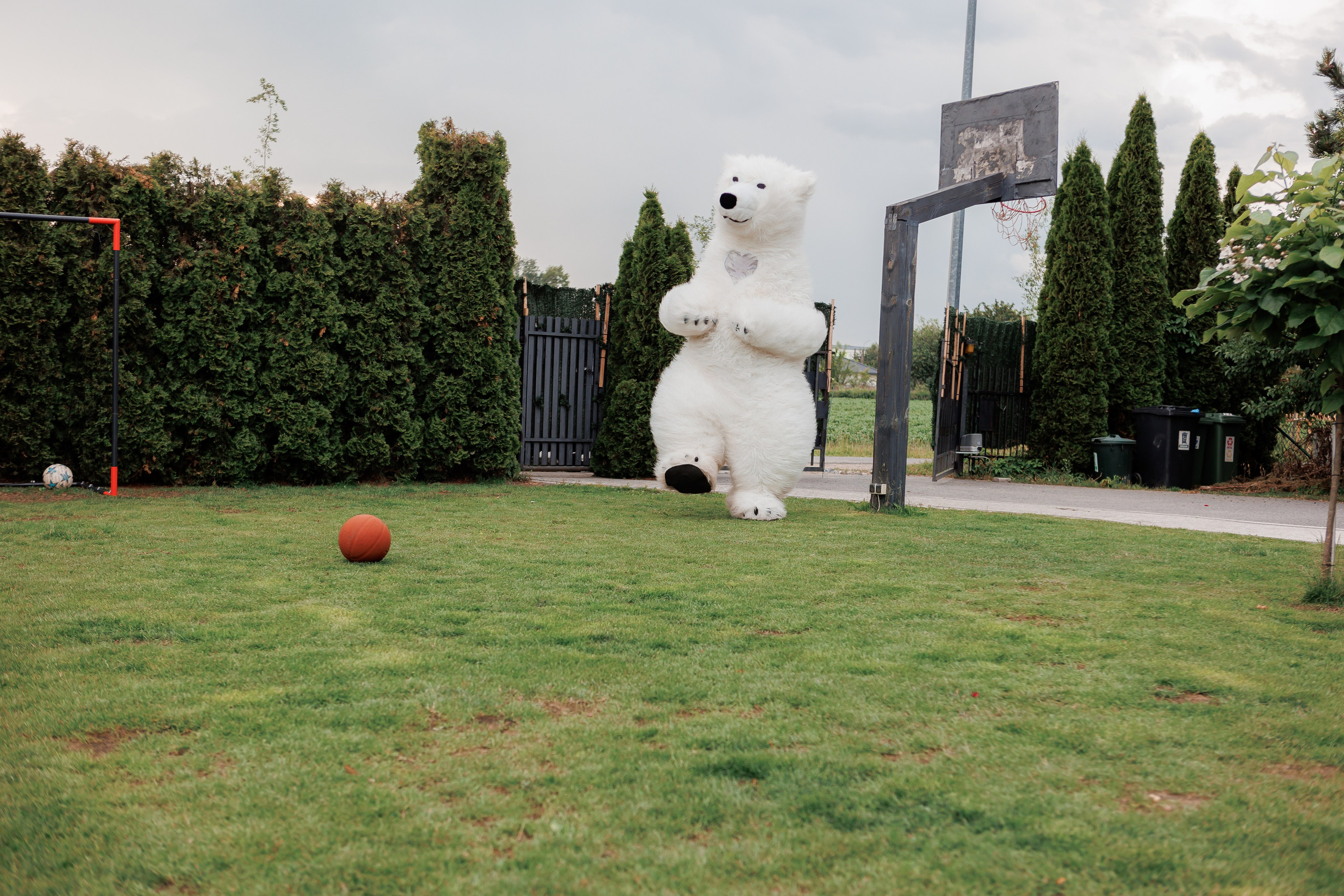 Eugen. Fotograf Warszawa Brwinów Pruszków Grodzisk Piaseczno Otwock Legionowo