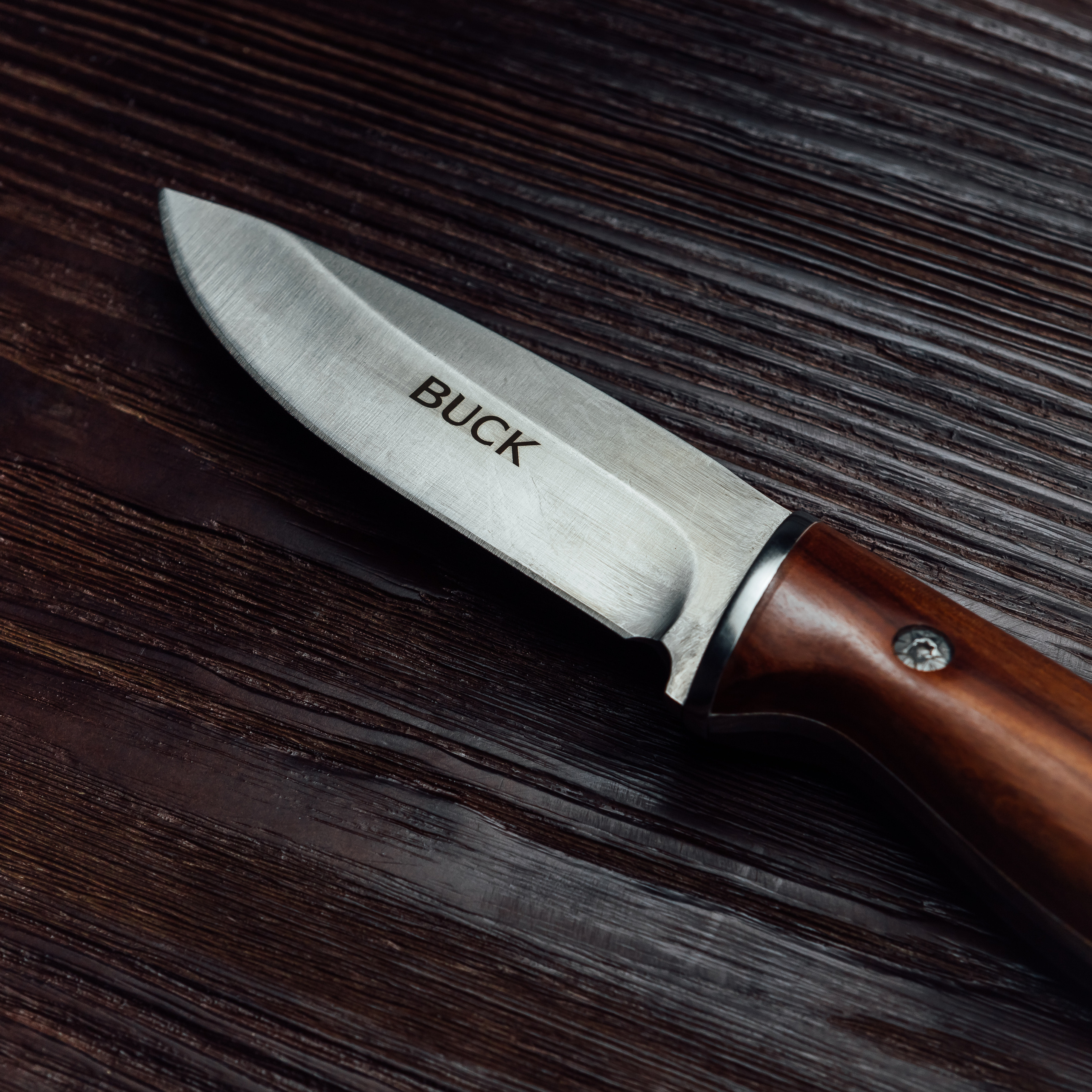 Предметка. Fotograf Warszawa Brwinów Pruszków Grodzisk Piaseczno Otwock Legionowo