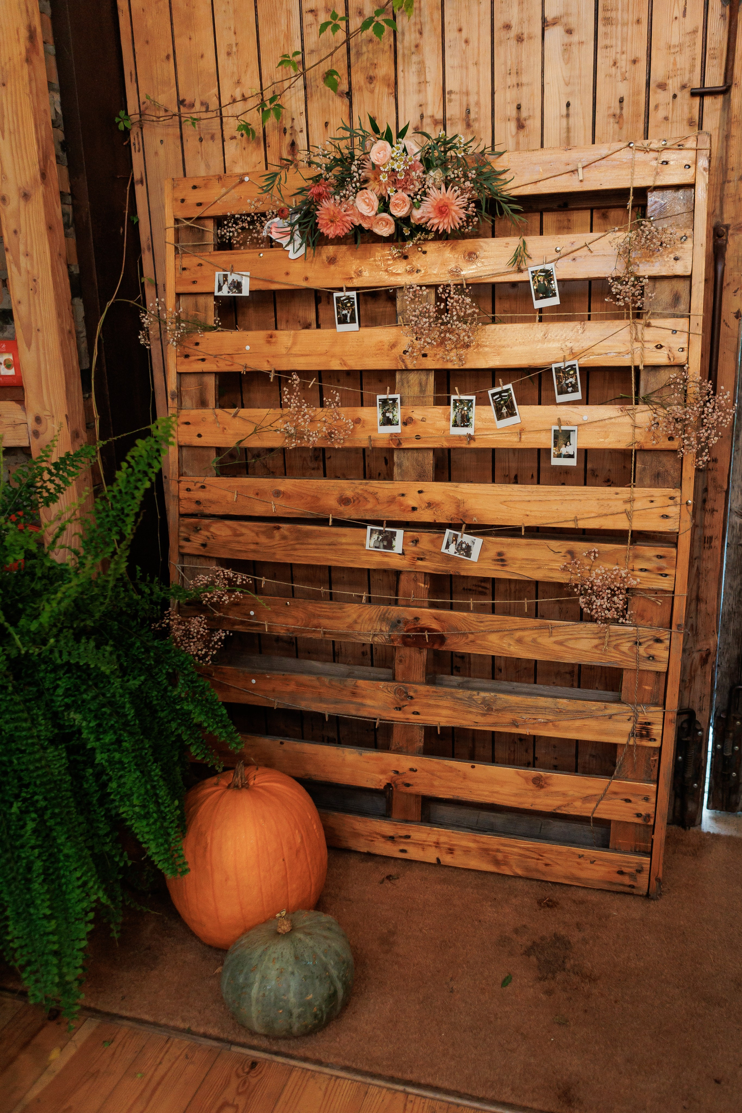 Bird. Fotograf Warszawa Brwinów Pruszków Grodzisk Piaseczno Otwock Legionowo