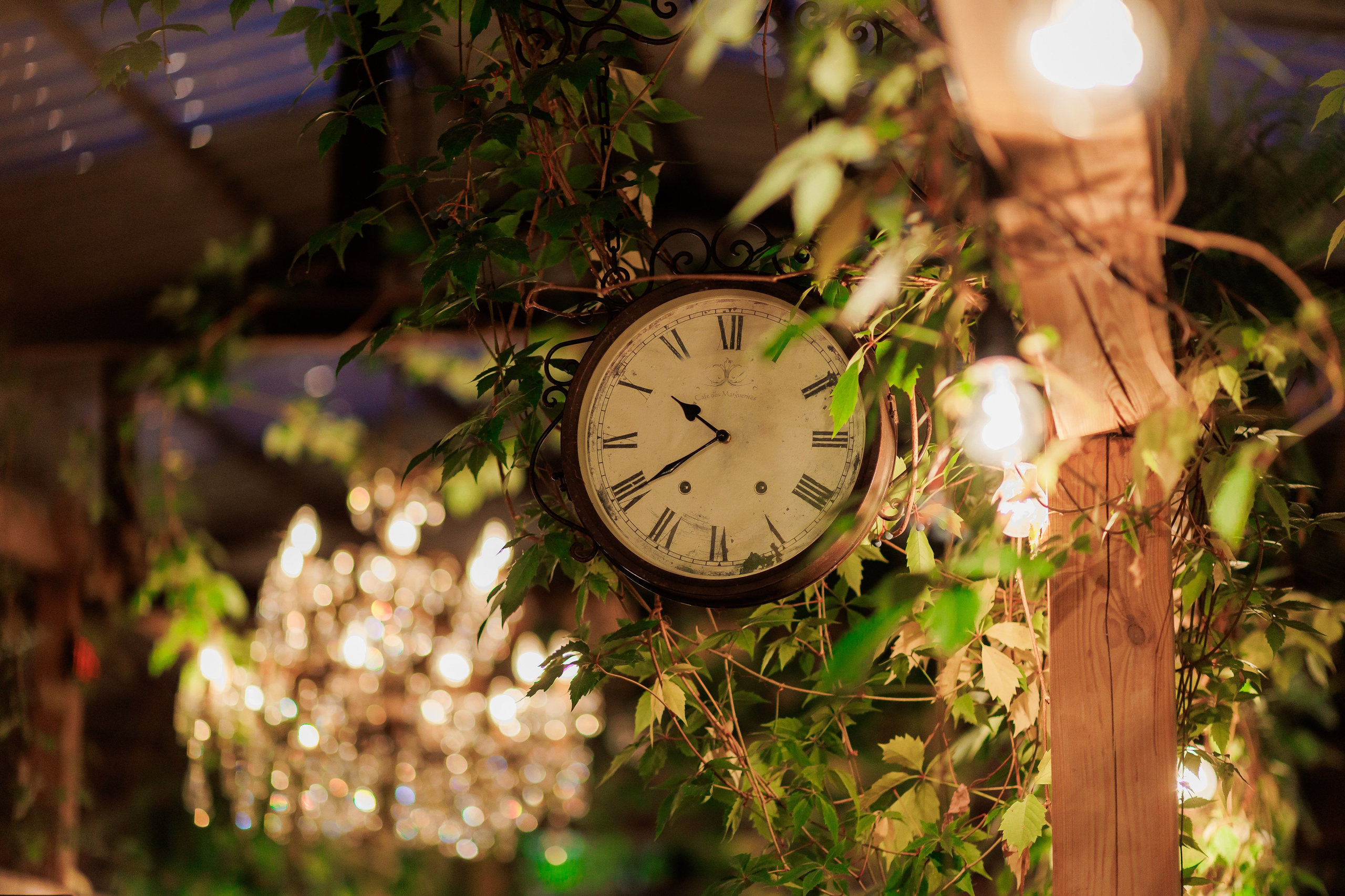 Bird. Fotograf Warszawa Brwinów Pruszków Grodzisk Piaseczno Otwock Legionowo