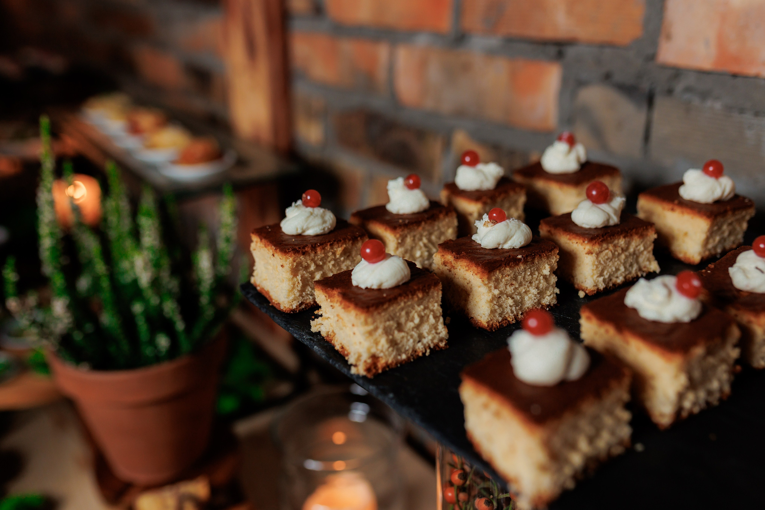 Bird. Fotograf Warszawa Brwinów Pruszków Grodzisk Piaseczno Otwock Legionowo