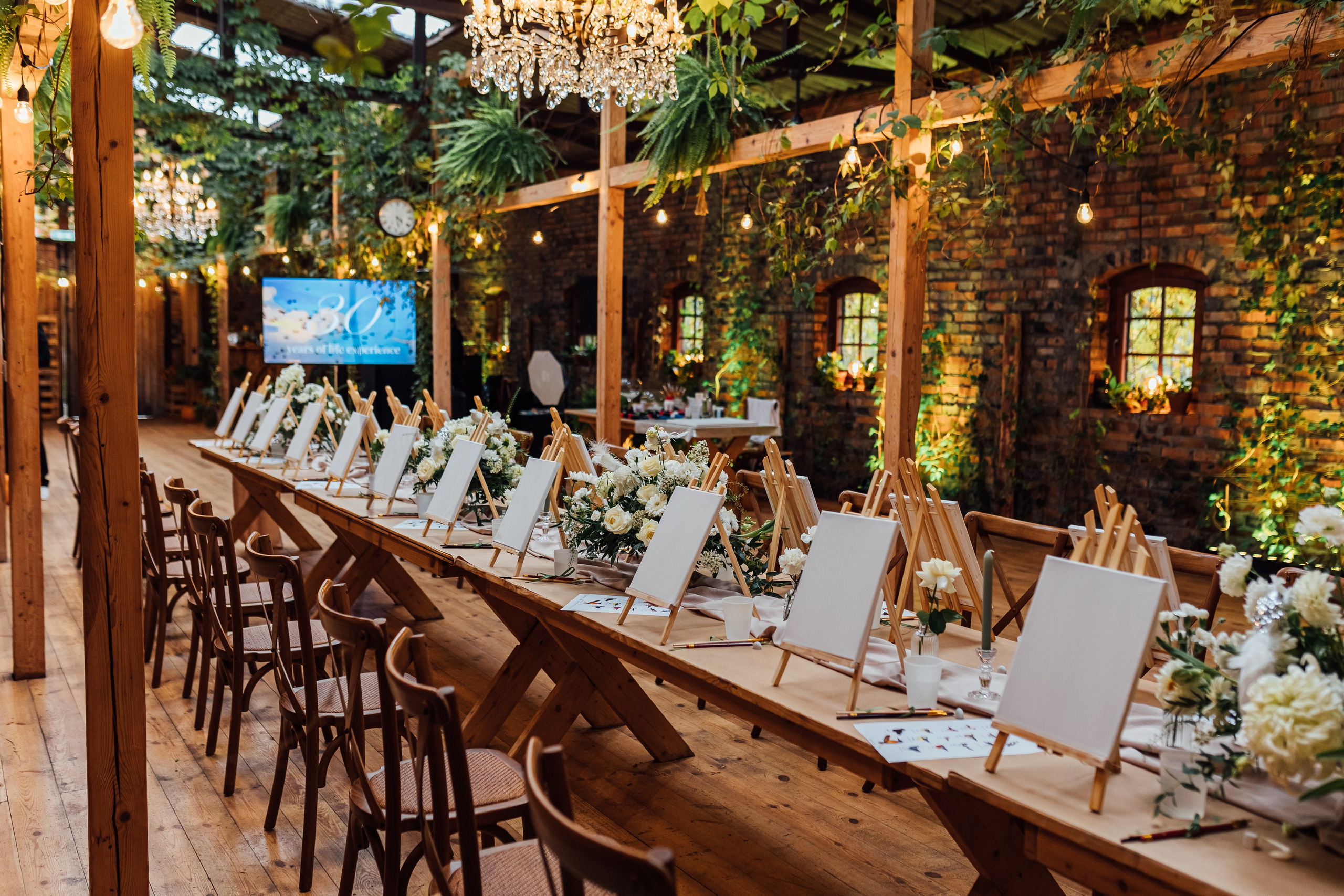 Bird. Fotograf Warszawa Brwinów Pruszków Grodzisk Piaseczno Otwock Legionowo