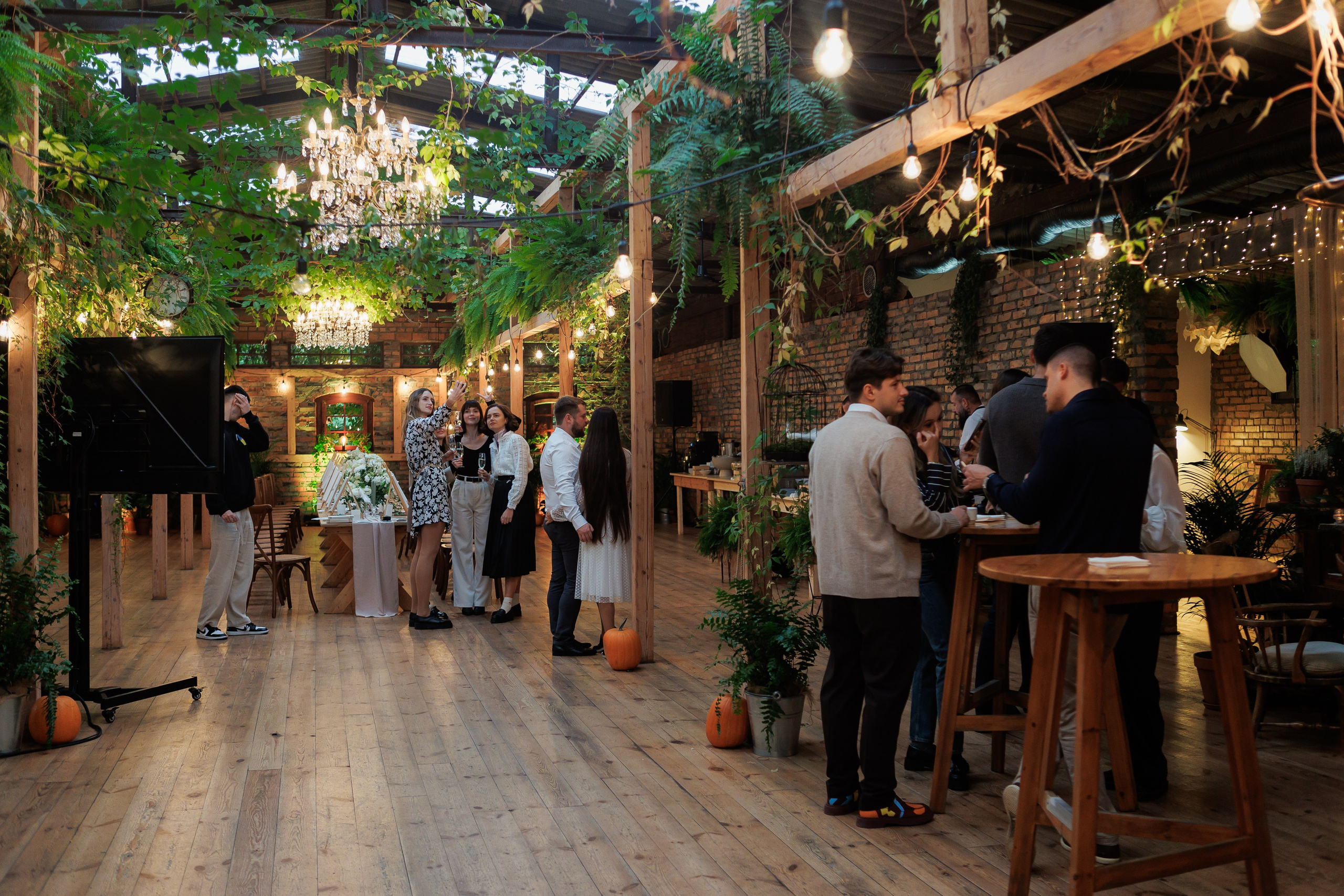 Bird. Fotograf Warszawa Brwinów Pruszków Grodzisk Piaseczno Otwock Legionowo