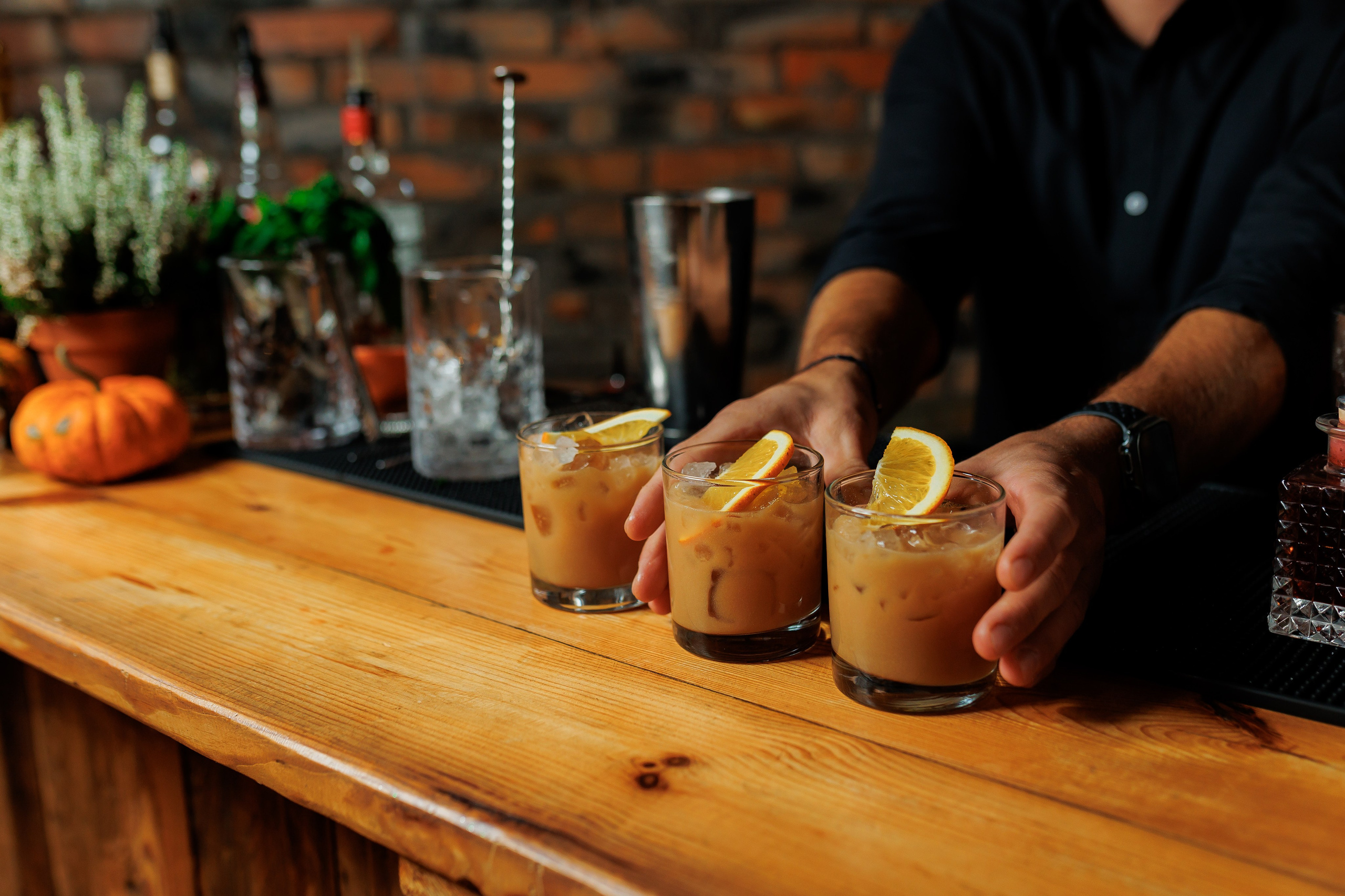 Bird. Fotograf Warszawa Brwinów Pruszków Grodzisk Piaseczno Otwock Legionowo