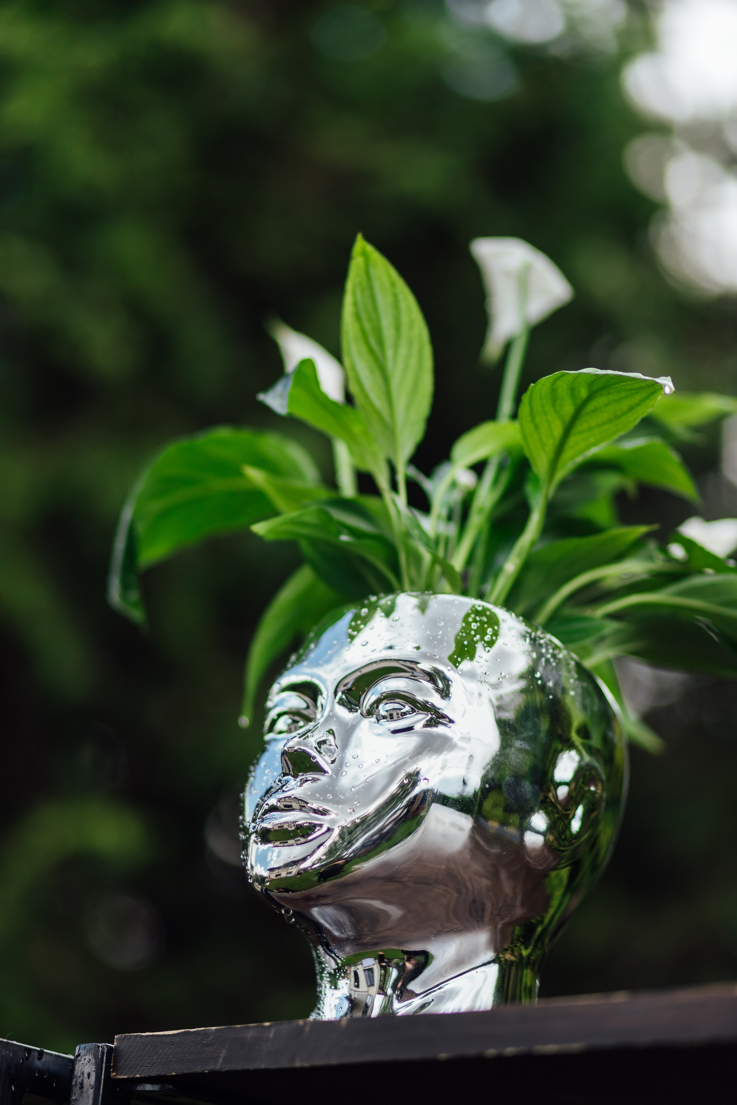 Eugen. Fotograf Warszawa Brwinów Pruszków Grodzisk Piaseczno Otwock Legionowo