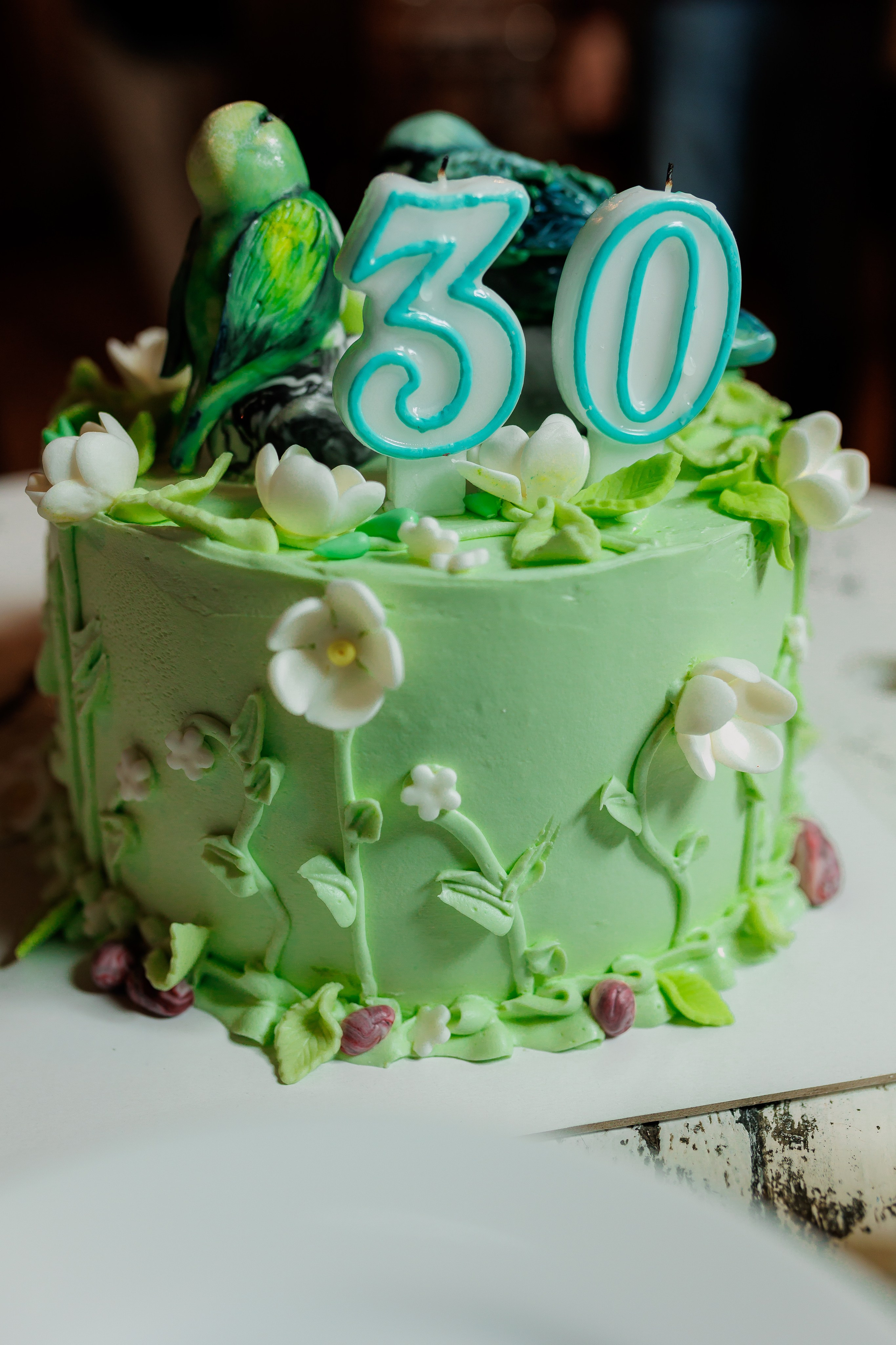 Bird. Fotograf Warszawa Brwinów Pruszków Grodzisk Piaseczno Otwock Legionowo