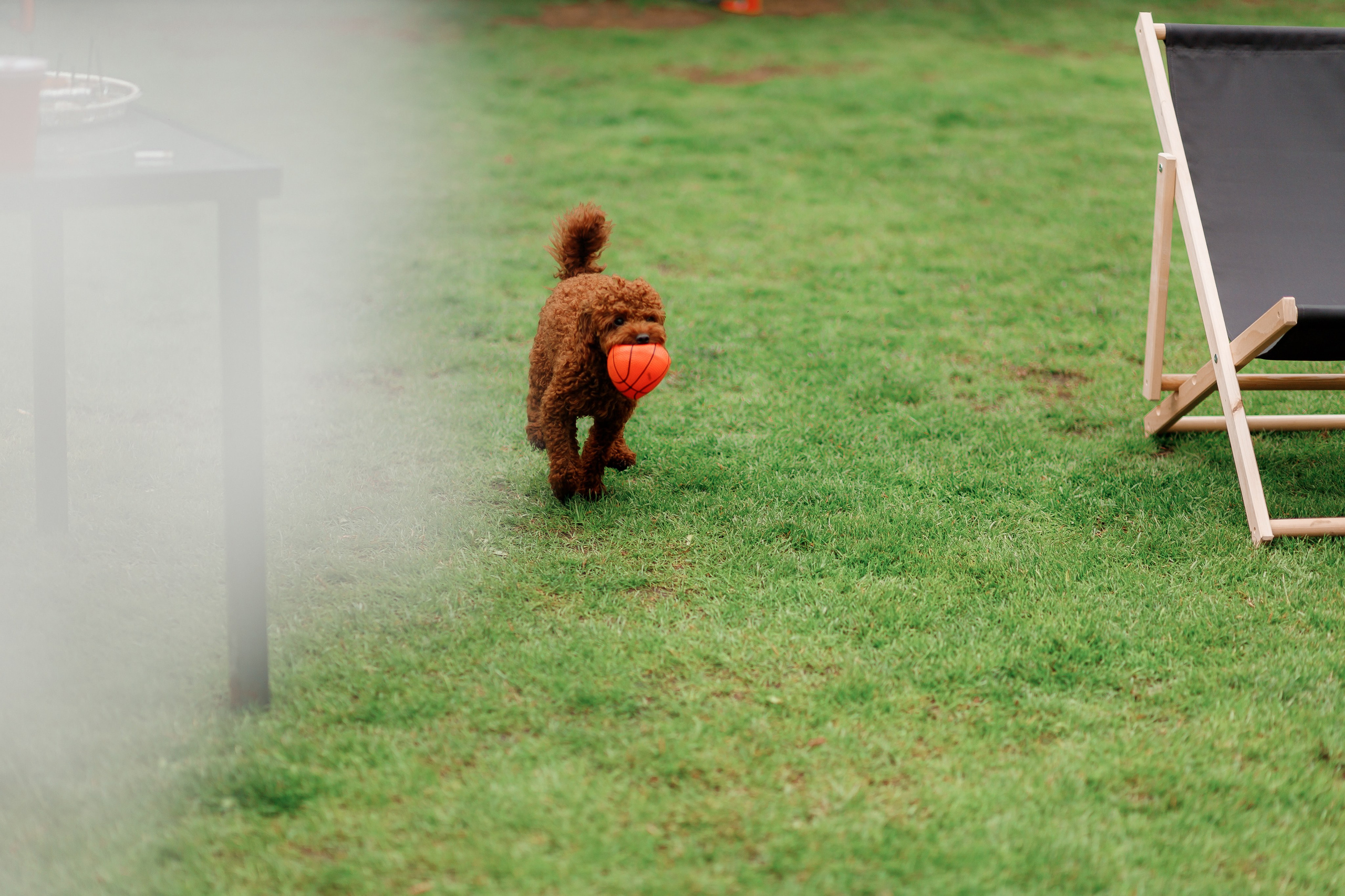 Eugen. Fotograf Warszawa Brwinów Pruszków Grodzisk Piaseczno Otwock Legionowo