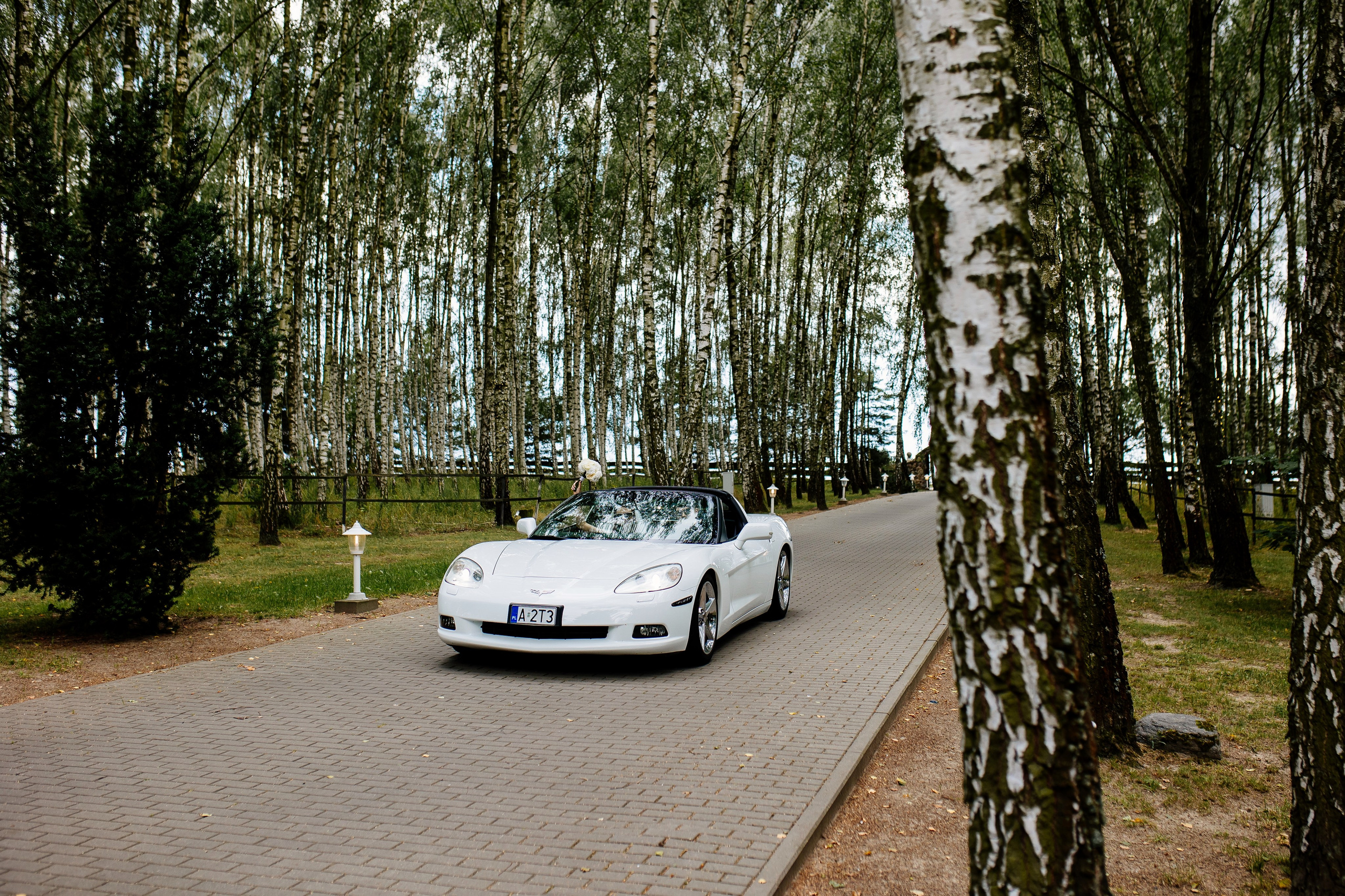 M&M. Photographer Stas Bordeniuk