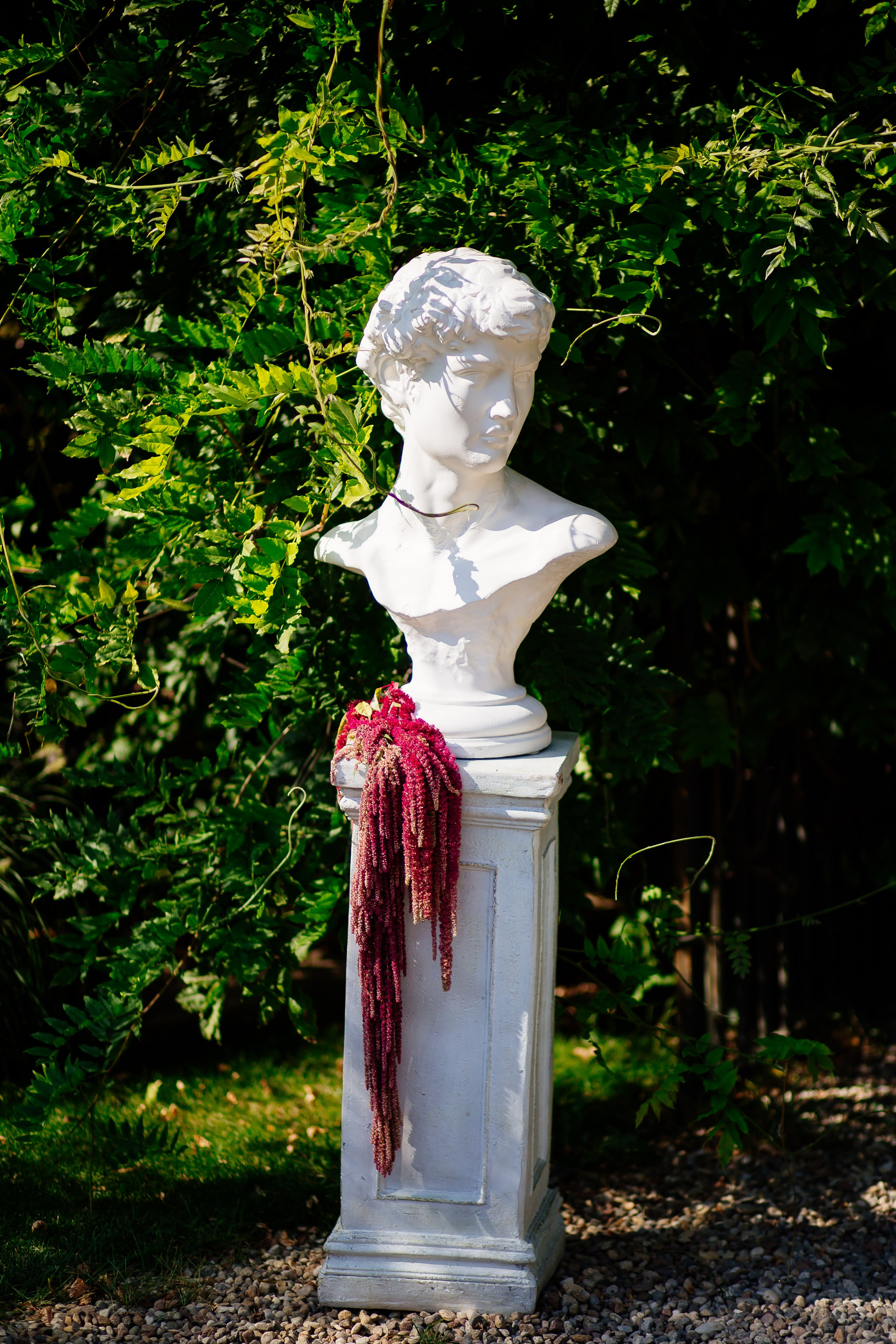 Growe. Fotograf Warszawa Brwinów Pruszków Grodzisk Piaseczno Otwock Legionowo