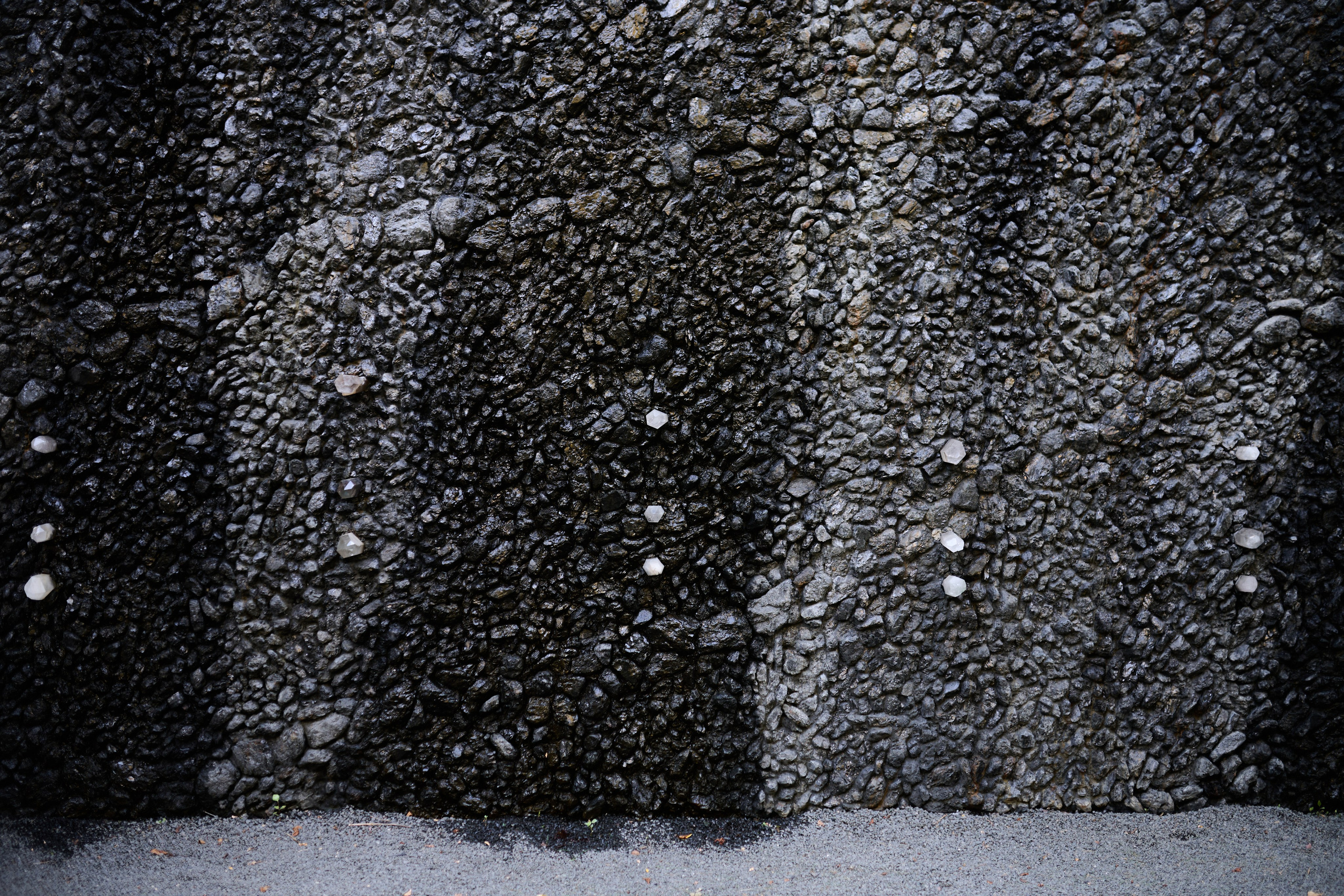 Репортаж освітньої екскурсії Бабиним Яром. Фотограф Київ – Репортаж, Події | Павленко Віктор