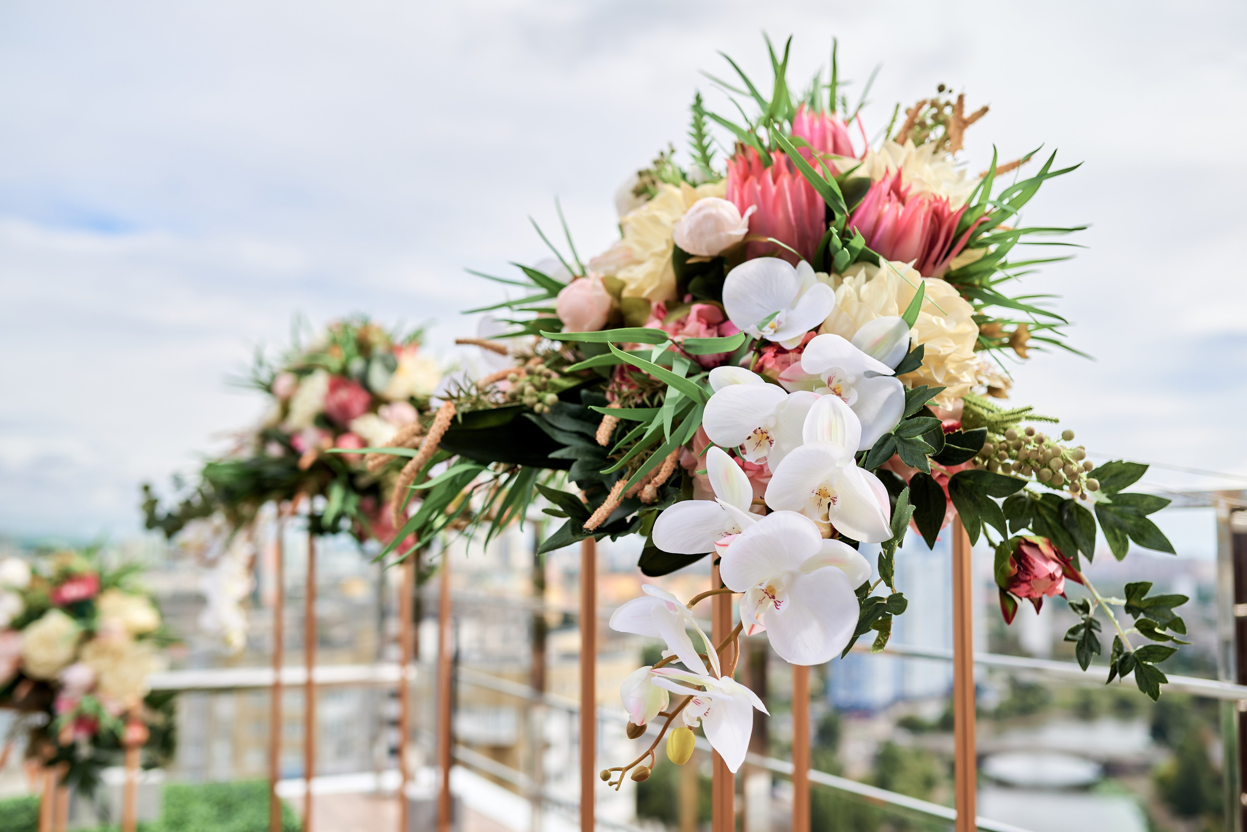 Ранкові збори. Professional photographer Kiev — Pavlenko Victor