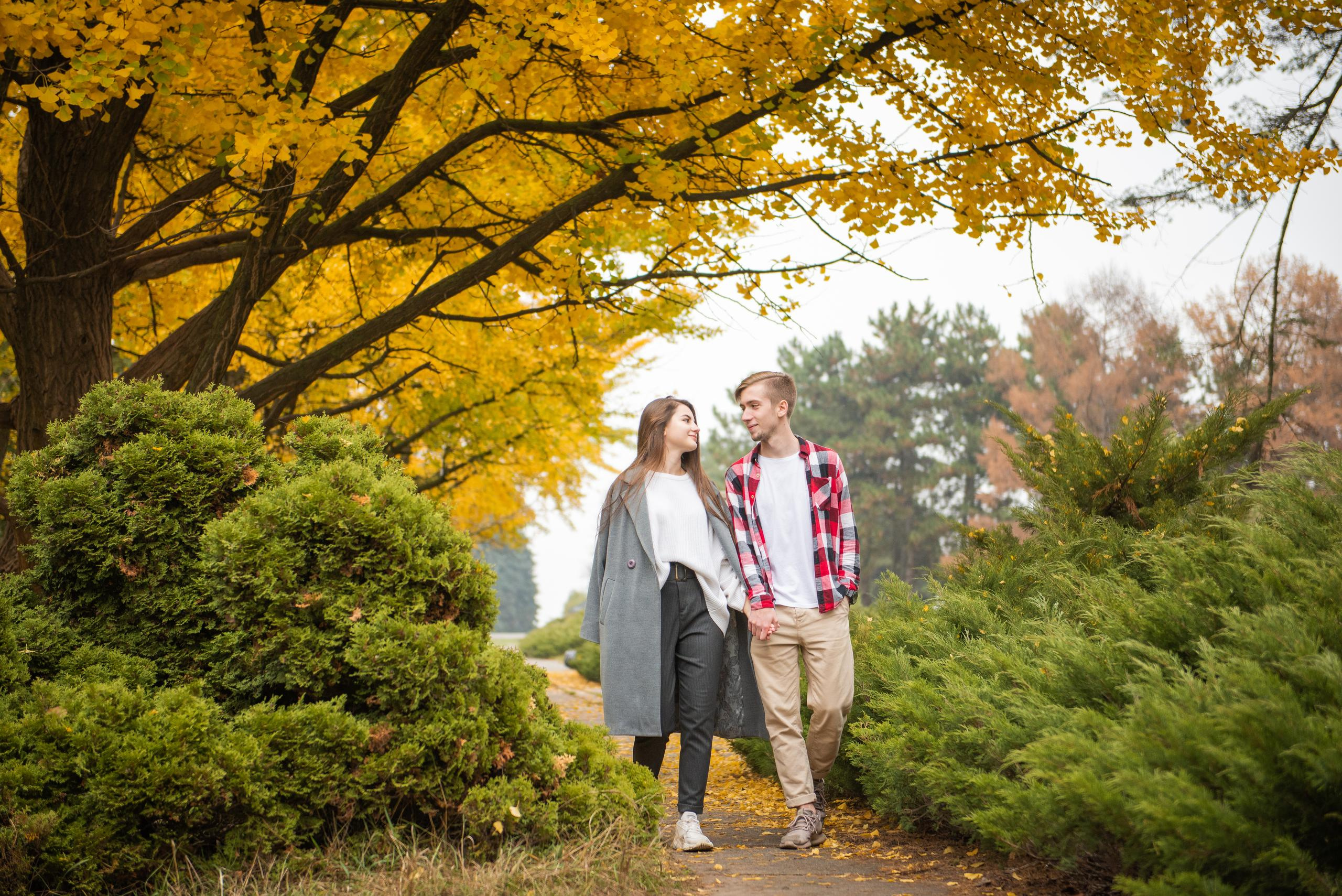 Осіння лавсторі в Ботанічному саду ім. Фоміна – Історія кохання в кадрах. Фотограф Київ – Репортаж, Події | Павленко Віктор