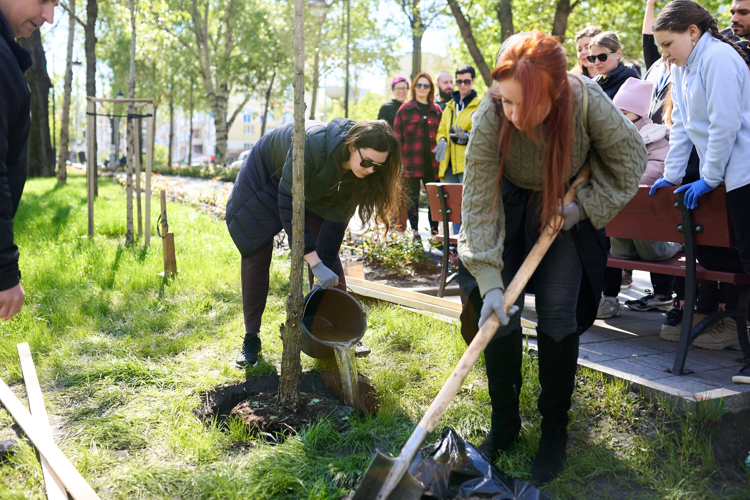 Фотозйомка висадки дерев у центрі Києва — екологічна ініціатива 2025. Фотограф Київ – Репортаж, Події | Павленко Віктор