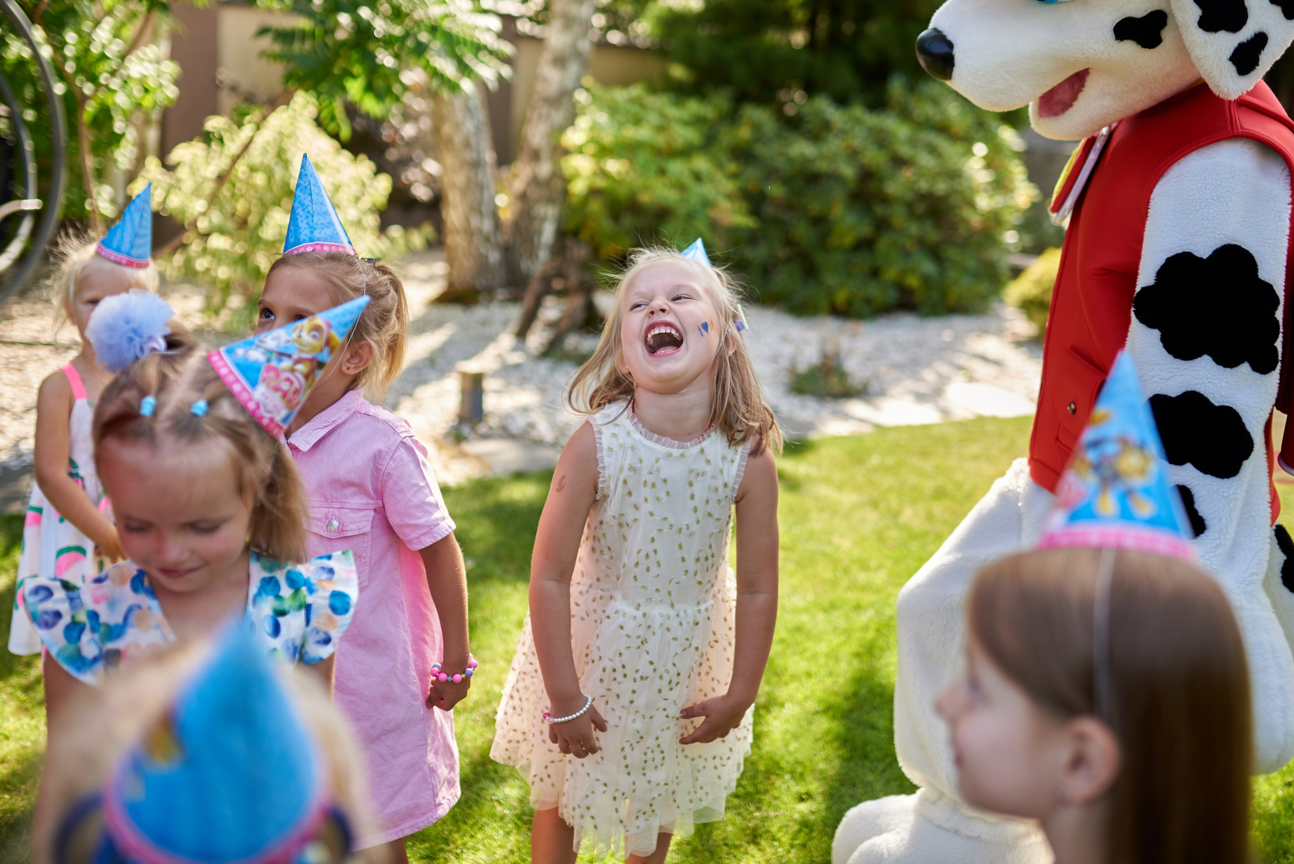 Щинячий патруль. Professional photographer Kiev — Pavlenko Victor