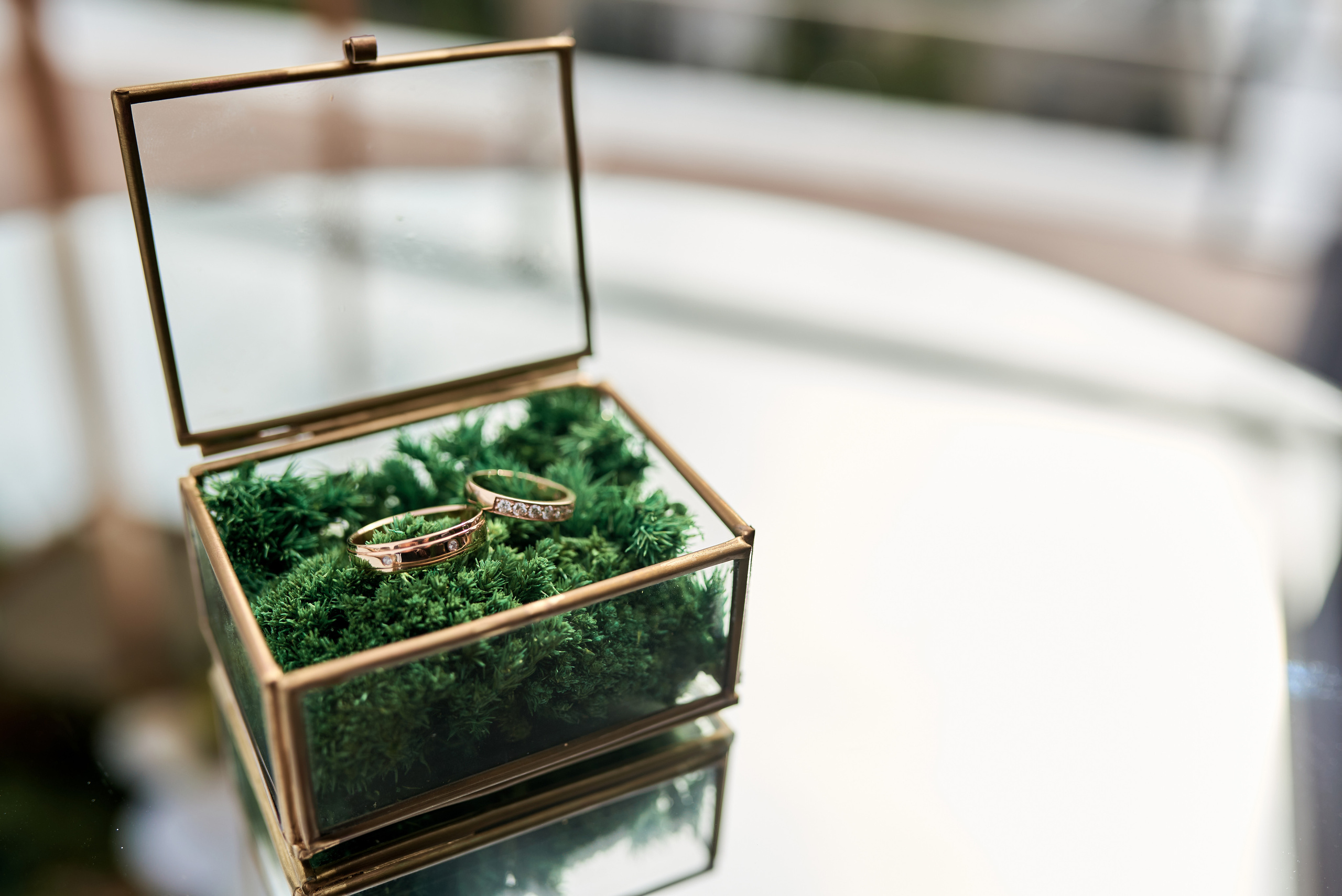 Ранкові збори. Professional photographer Kiev — Pavlenko Victor