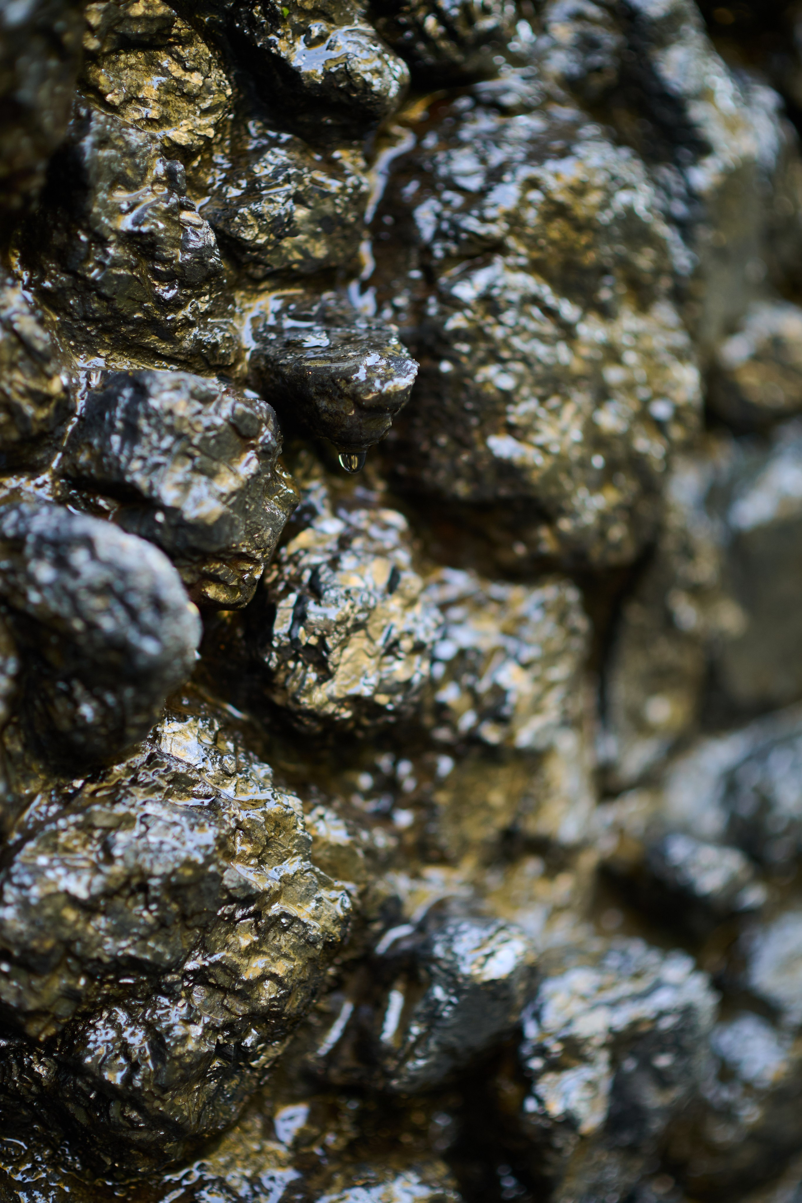 Репортаж освітньої екскурсії Бабиним Яром. Фотограф Київ – Репортаж, Події | Павленко Віктор