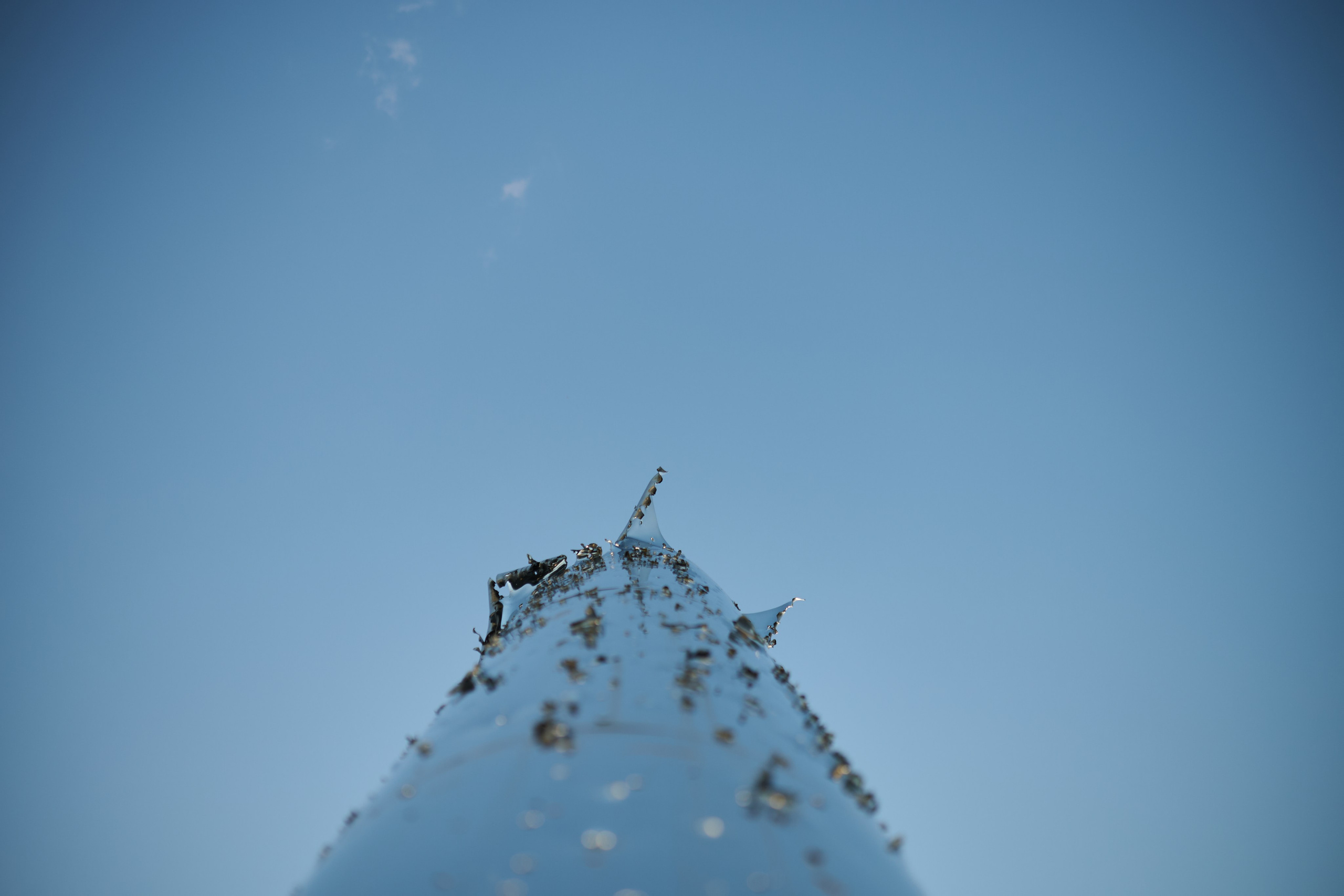 Репортаж освітньої екскурсії Бабиним Яром. Фотограф Київ – Репортаж, Події | Павленко Віктор