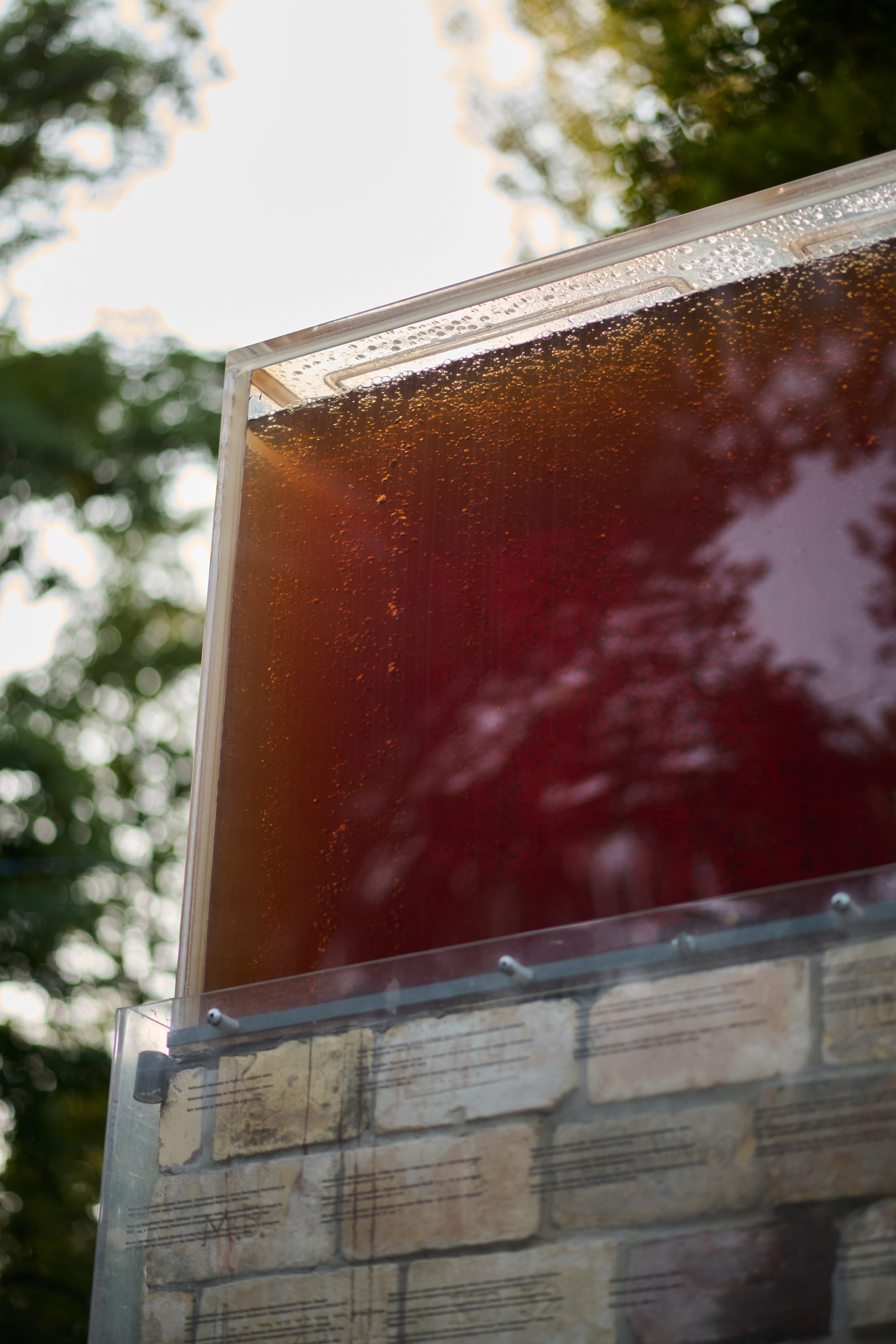 Репортаж освітньої екскурсії Бабиним Яром. Фотограф Київ – Репортаж, Події | Павленко Віктор