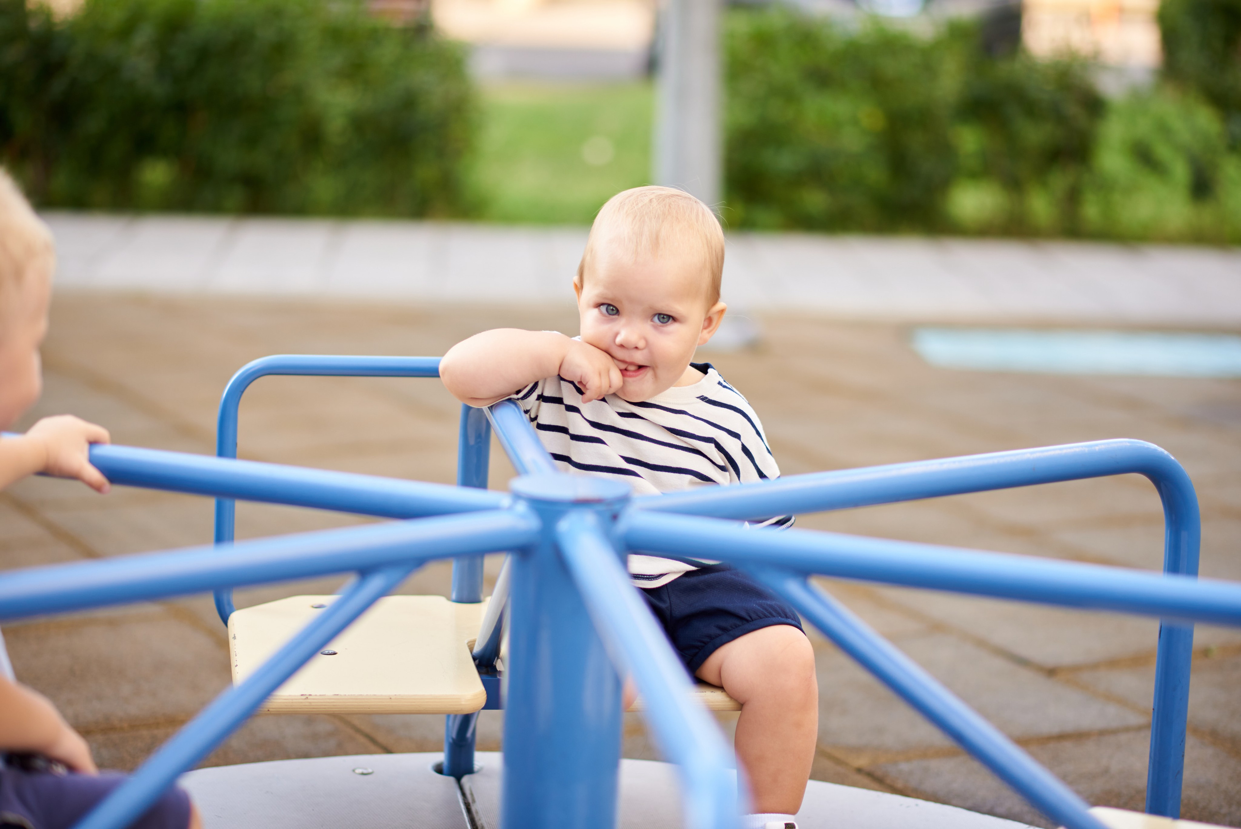 Прогулянка в дворику. Professional photographer Kiev — Pavlenko Victor