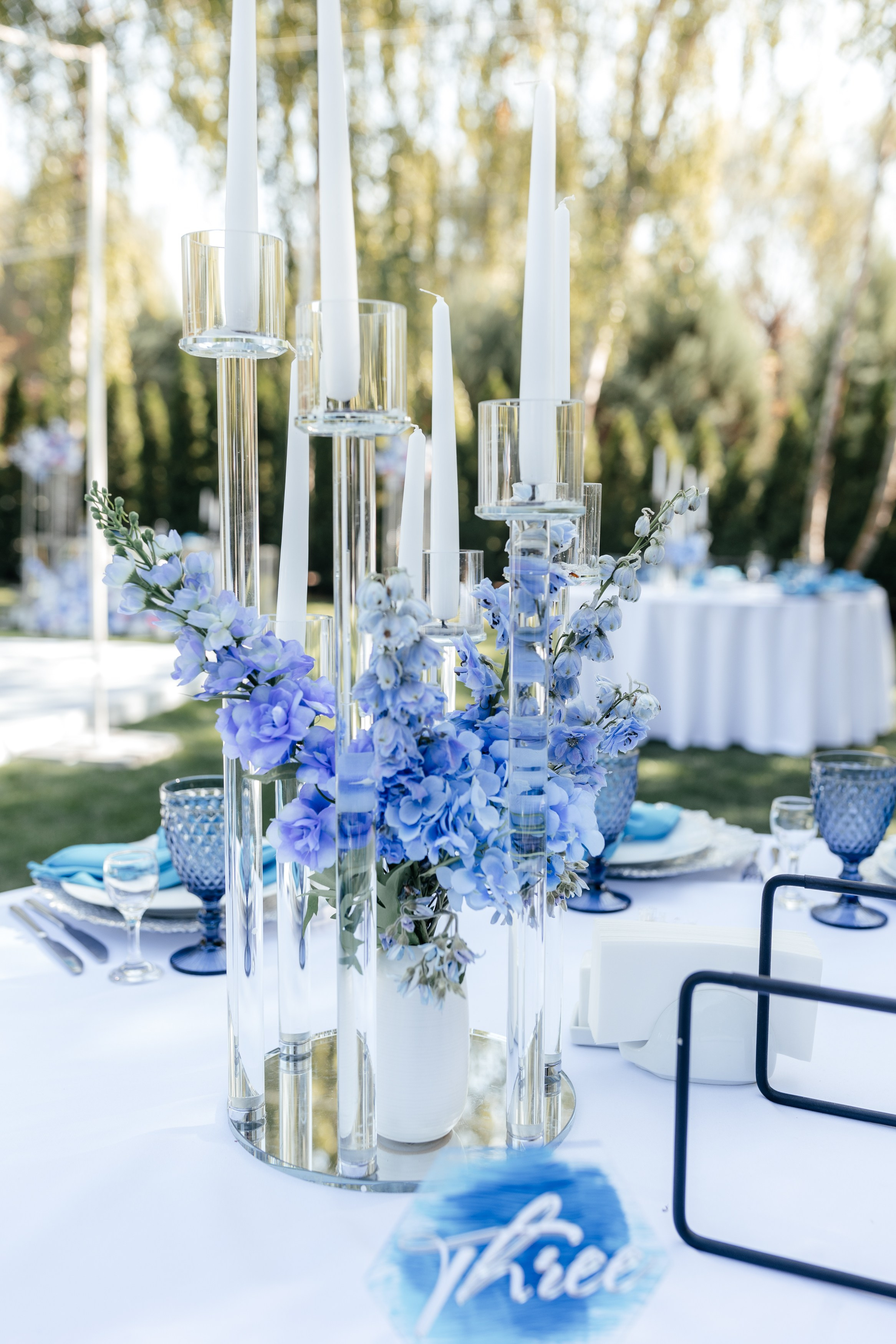 Аня и Дима. Свадебный и портретный фотограф в Запорожье Украина Elena Marshall