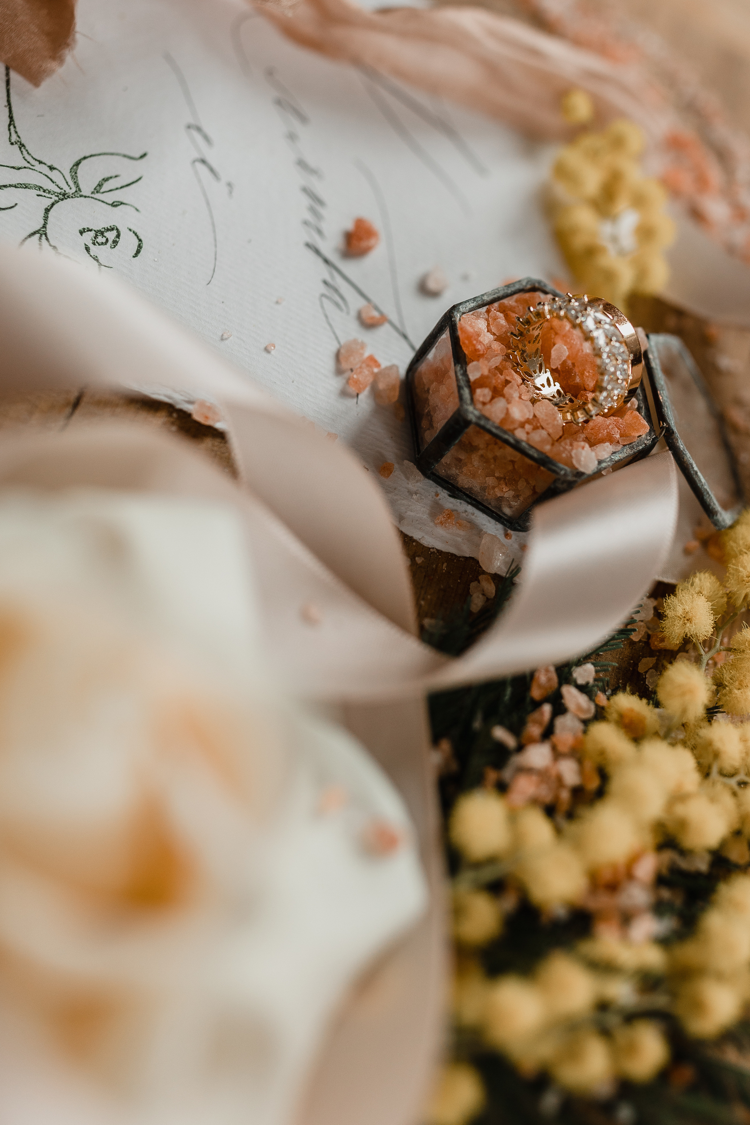 Илья и Мария. Свадебный и портретный фотограф в Запорожье Украина Elena Marshall